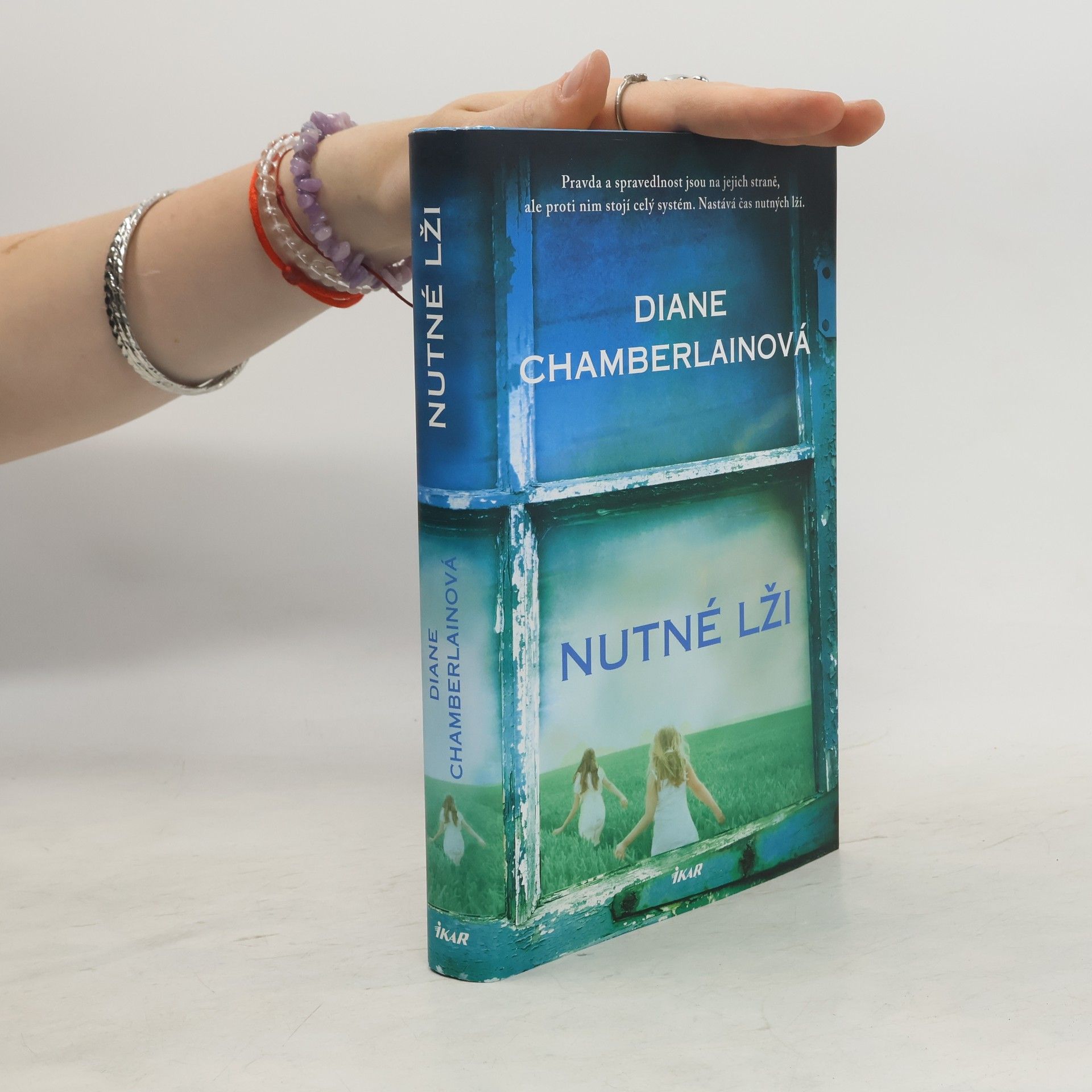 Diane Chamberlain Nutné lži