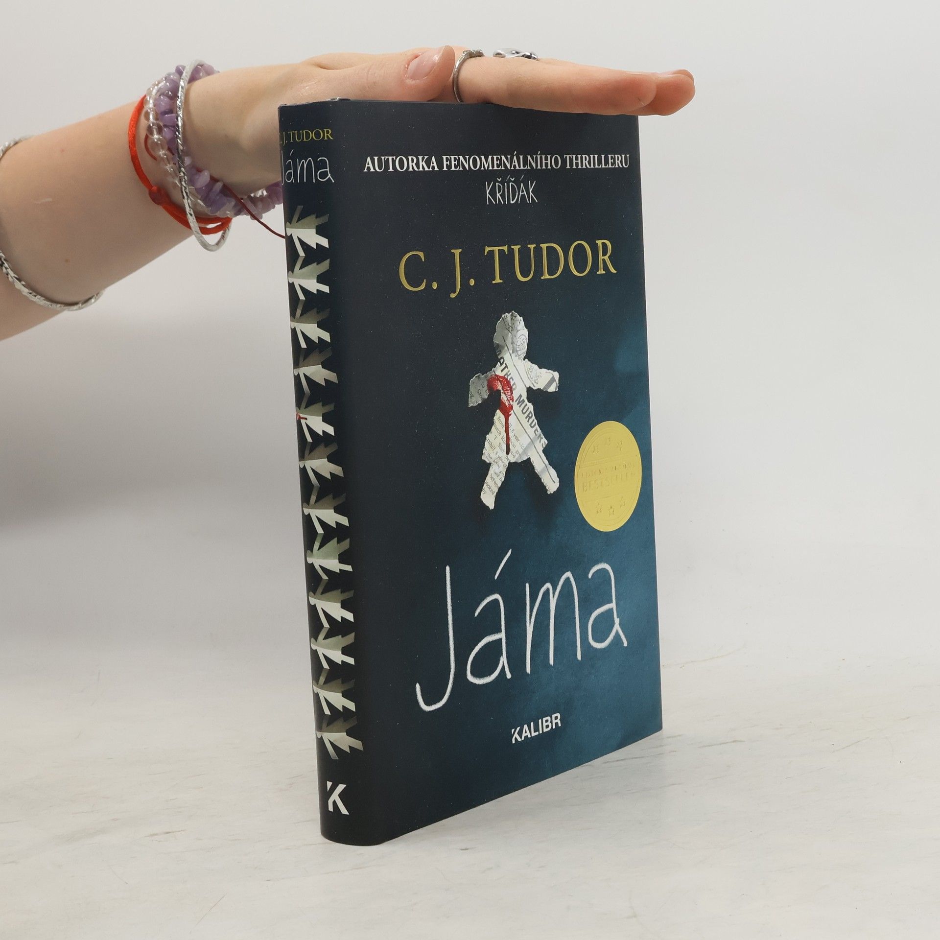 C. J. Tudor Jáma