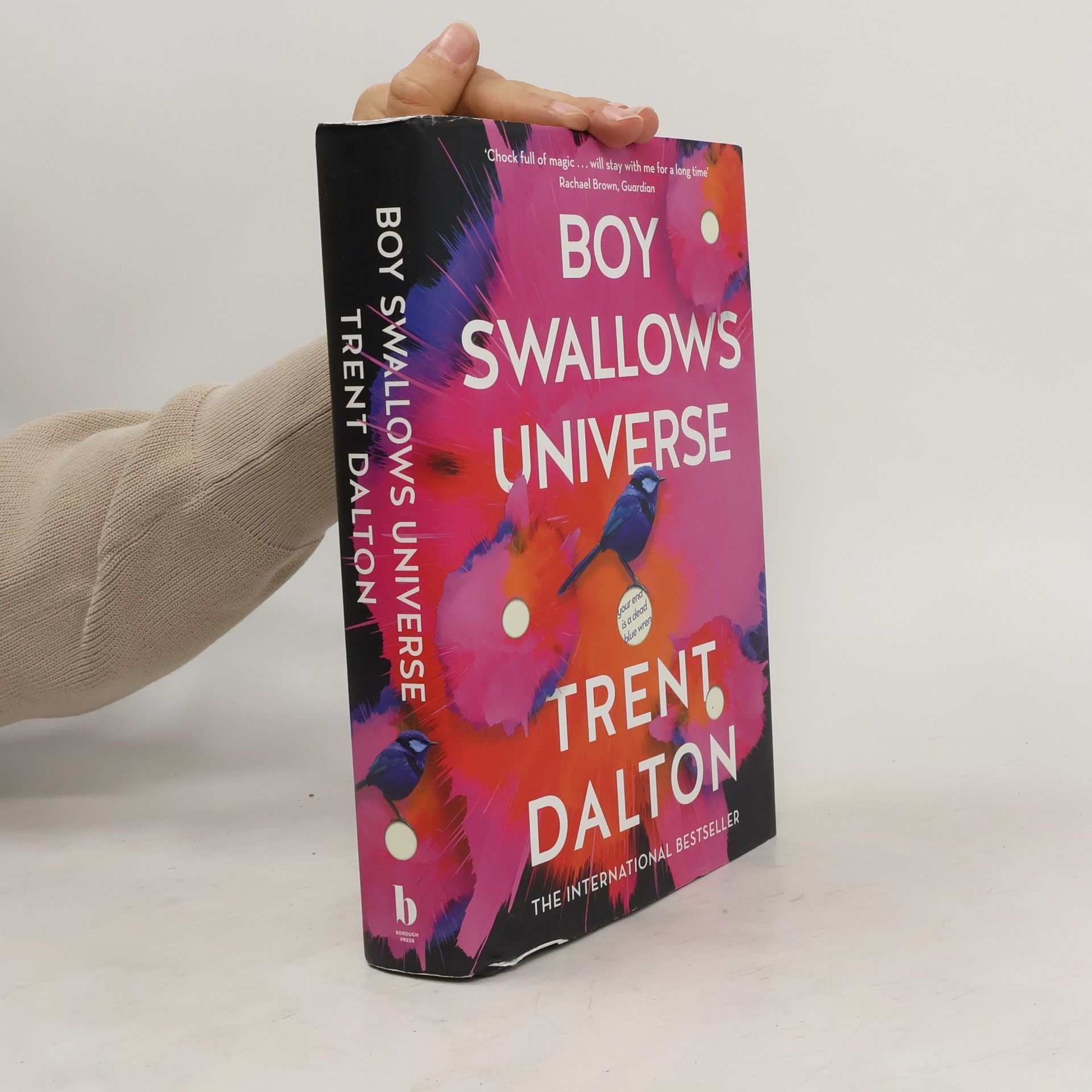 Trent Dalton Boy Swallows Universe