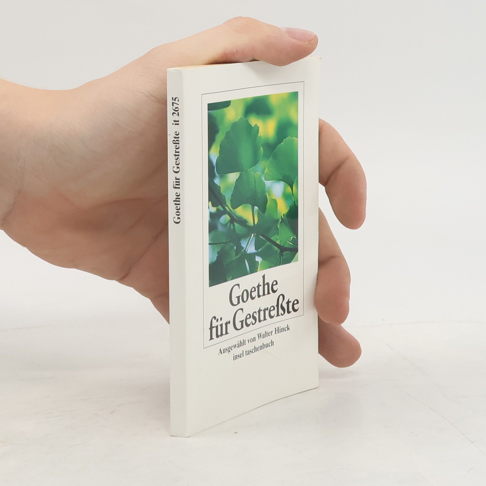 Johann Wolfgang von Goethe Goethe für Gestreßte