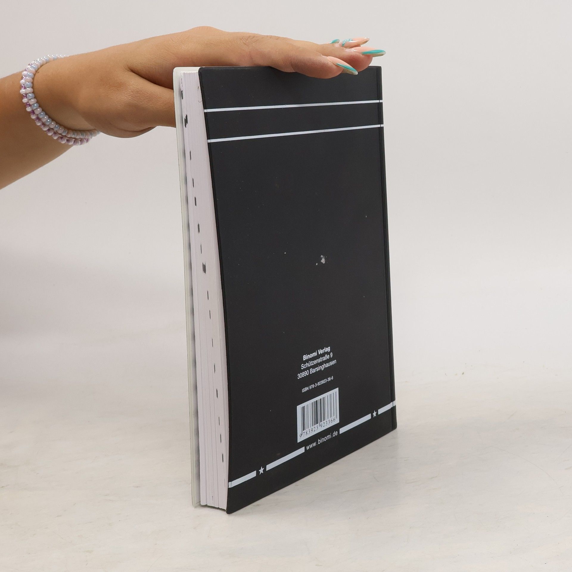 Gerhard Merziger Formeln + Hilfen höhere Mathematik