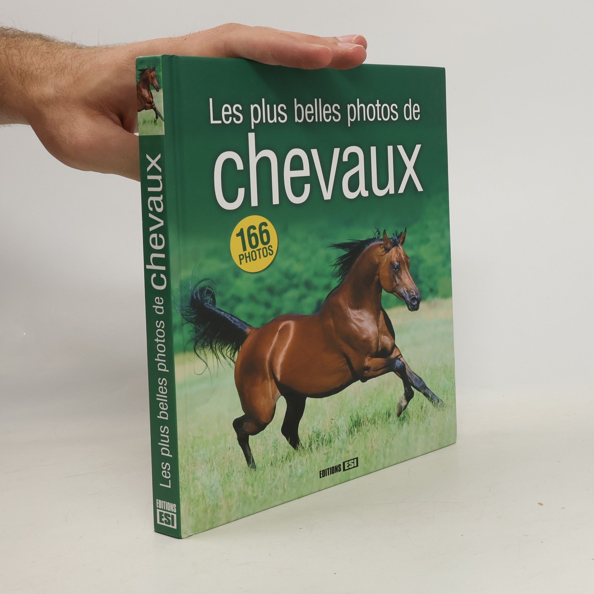 Collectif d'auteurs Les plus belles photos de chevaux