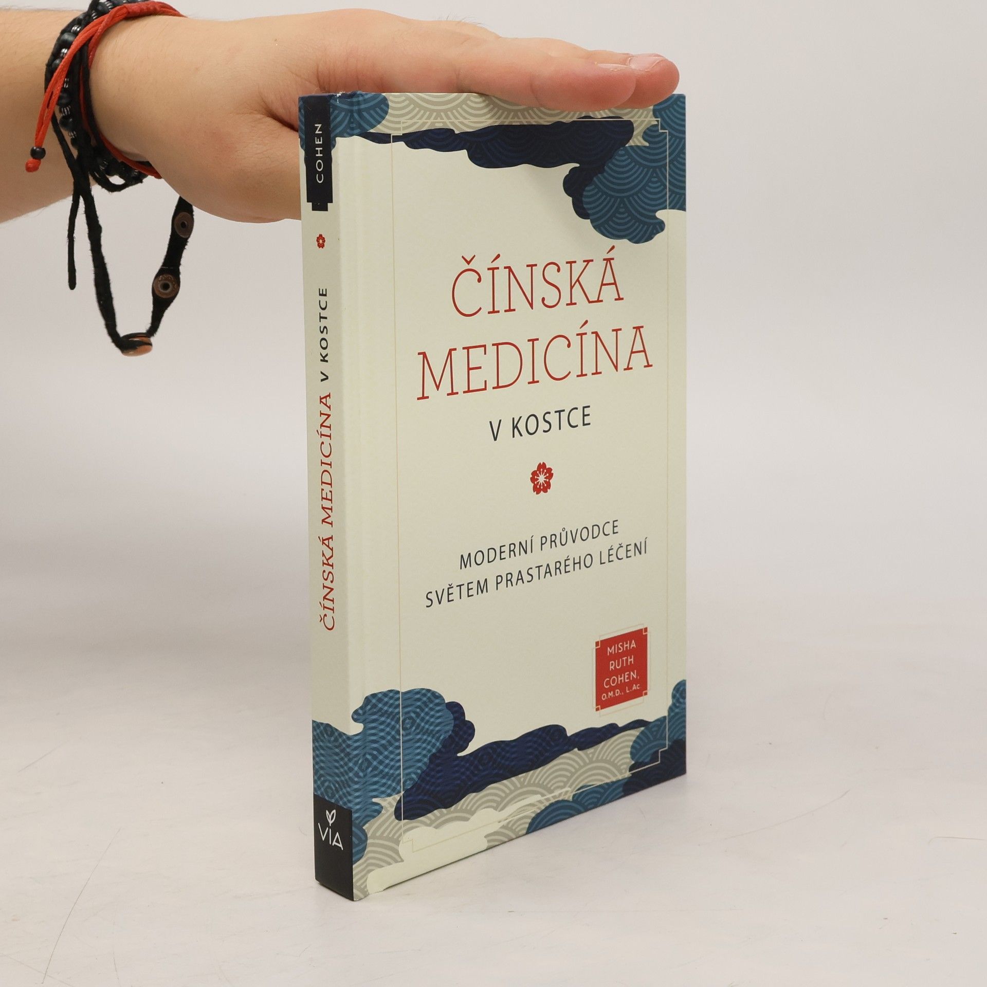 Misha Ruth Cohen Čínská medicína v kostce : moderní průvodce světem prastarého léčení