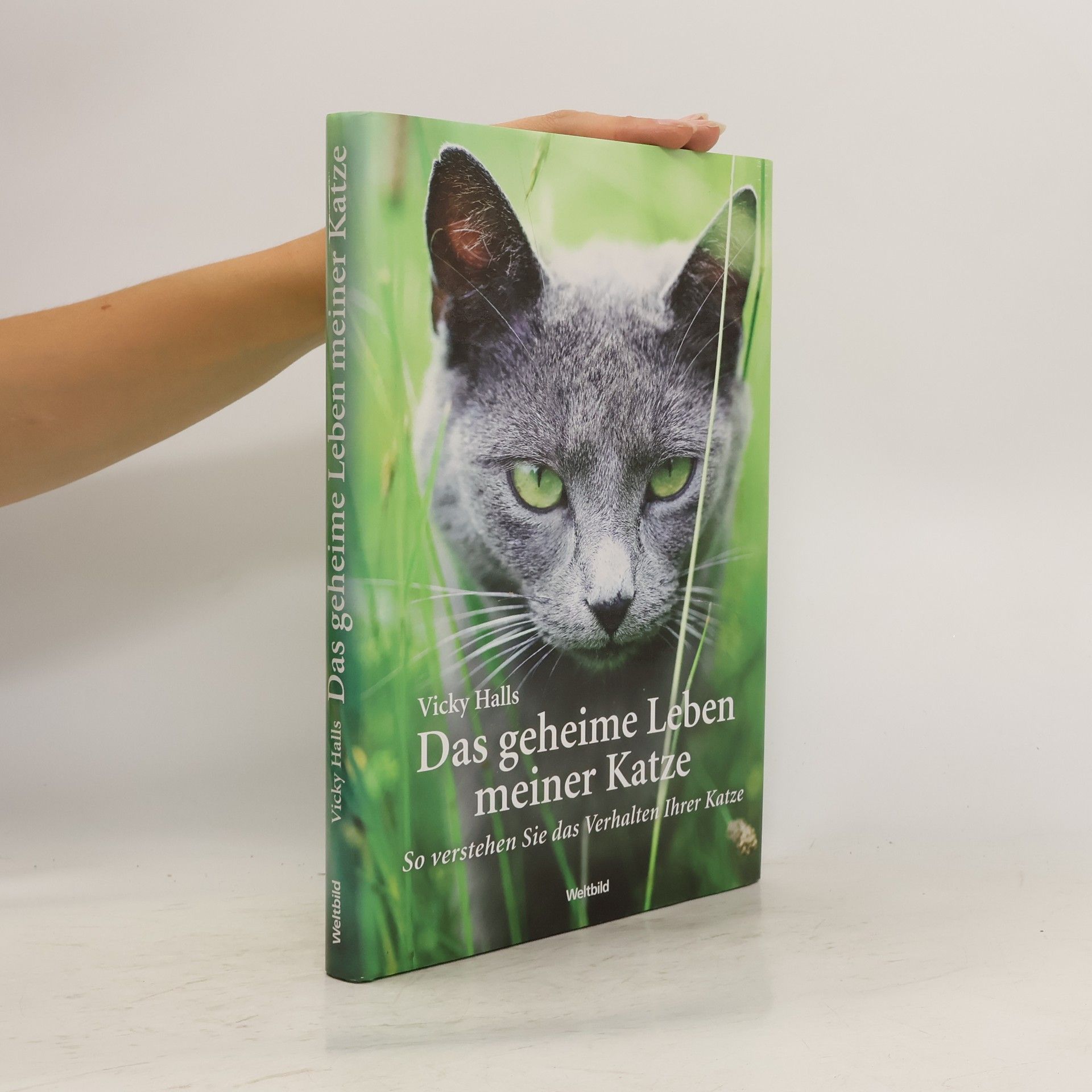 Das geheime Leben meiner Katze So verstehen Sie das Verhalten Ihrer Katze
