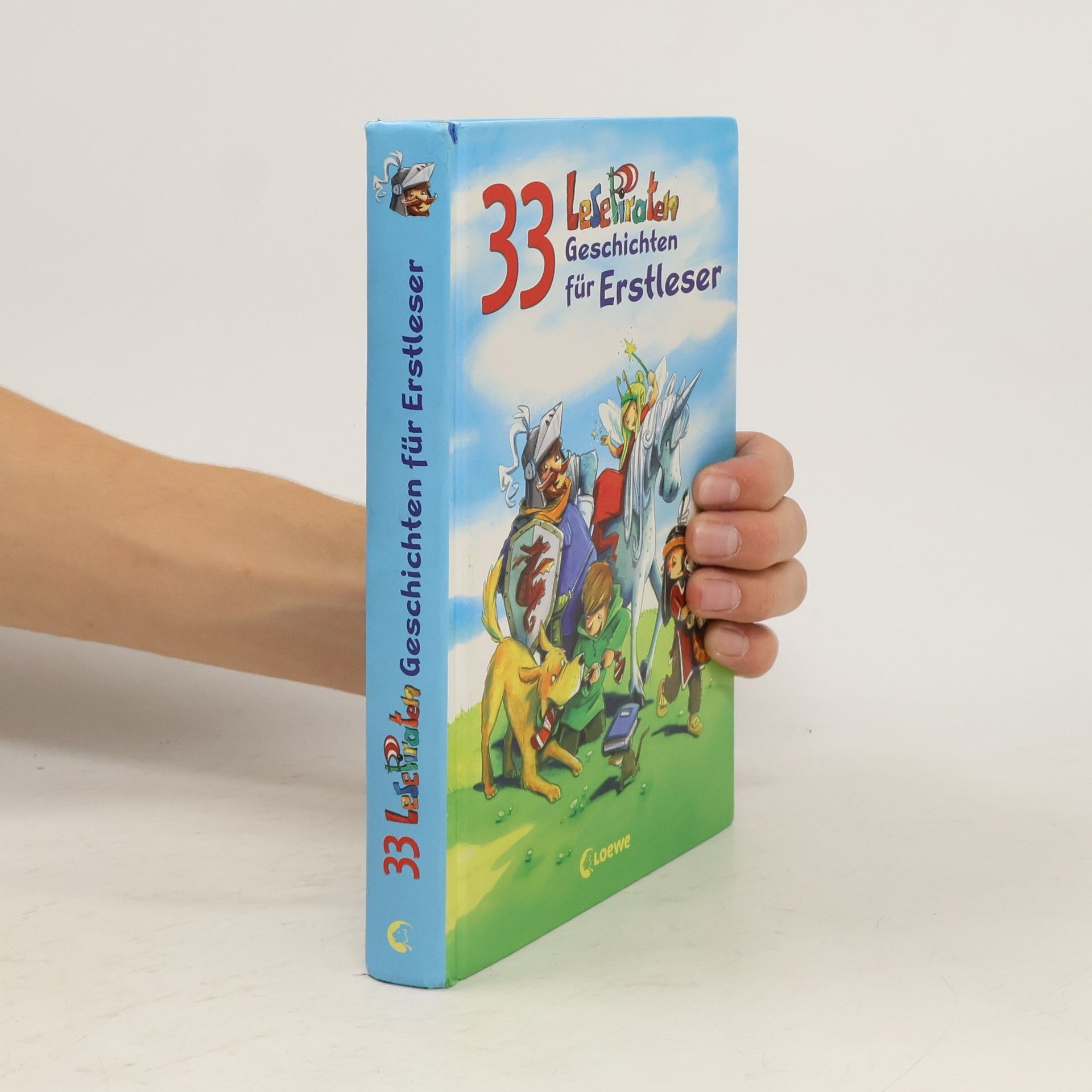 Kolektiv autorů 33 Lesepiraten-Geschichten für Erstleser