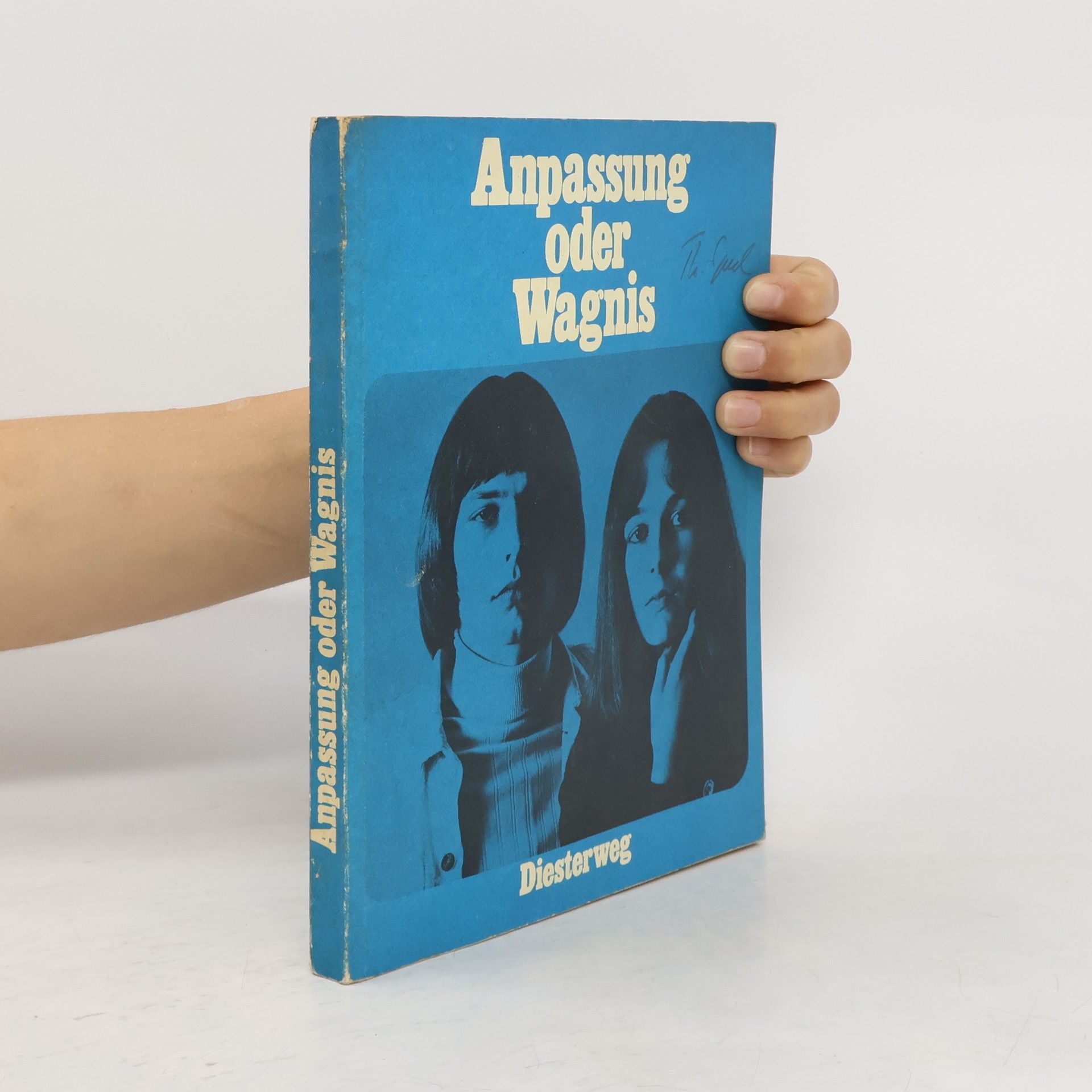 Dorothea Brummack Anpassung oder Wagnis