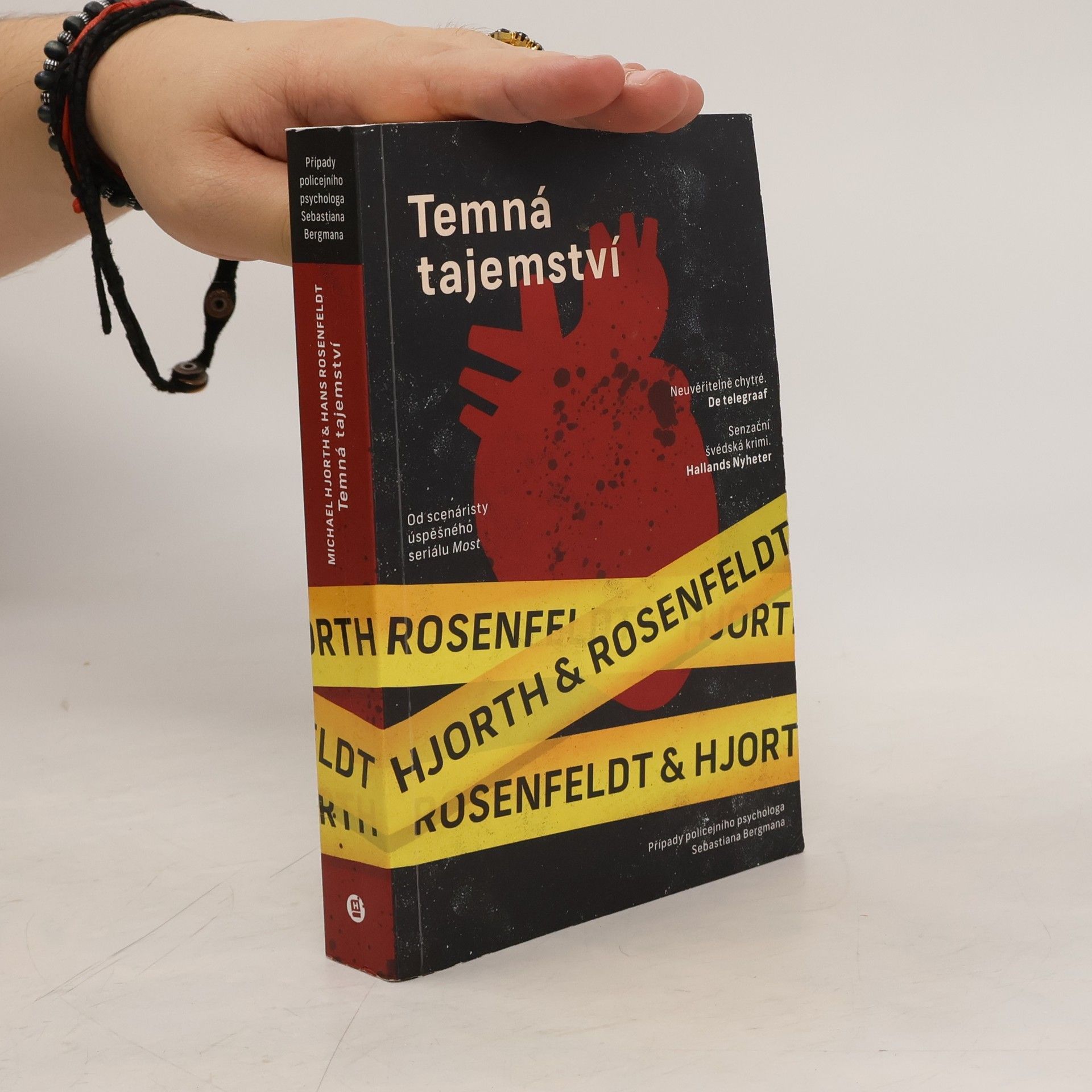 Hans Rosenfeldt Temná tajemství