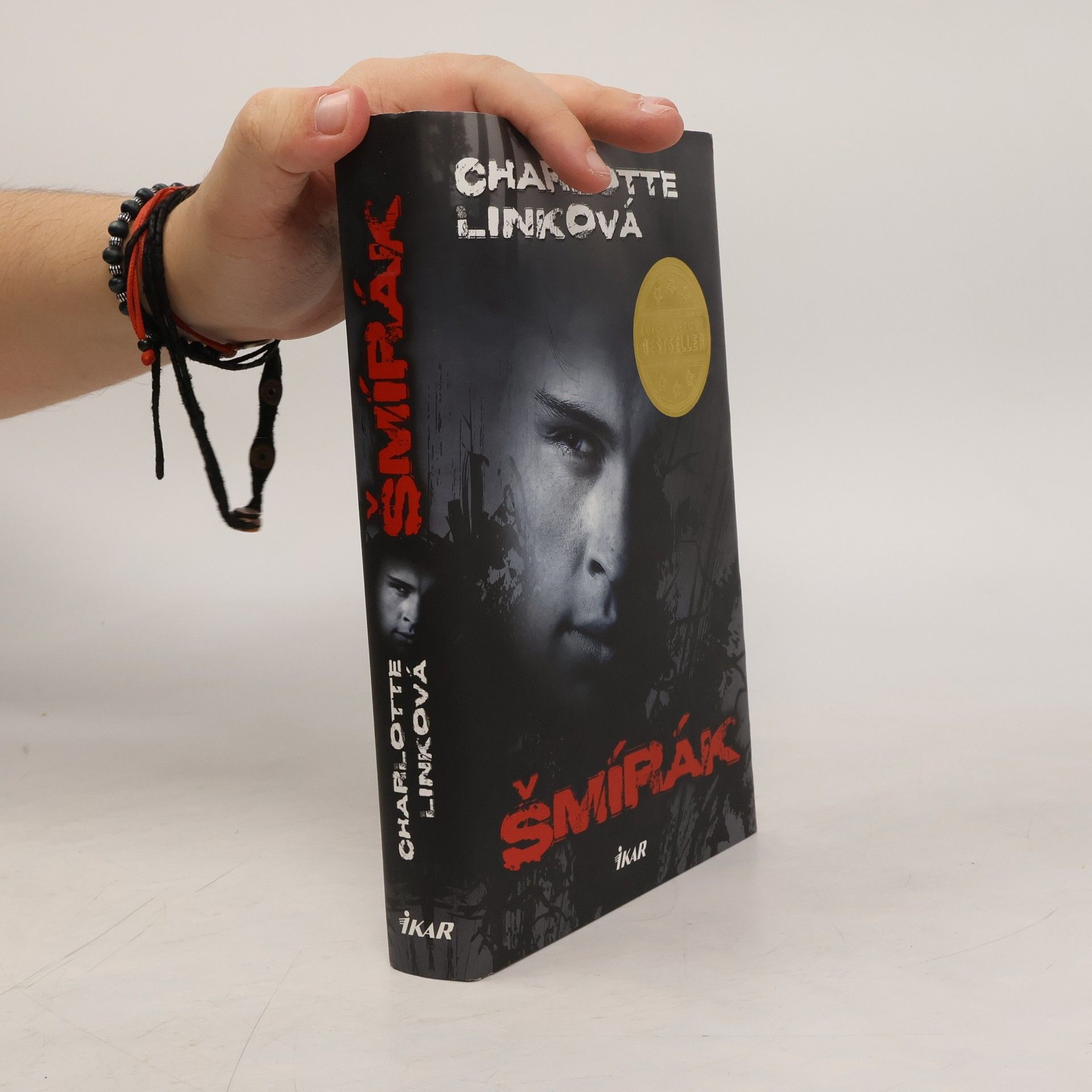 Charlotte Link Šmírák