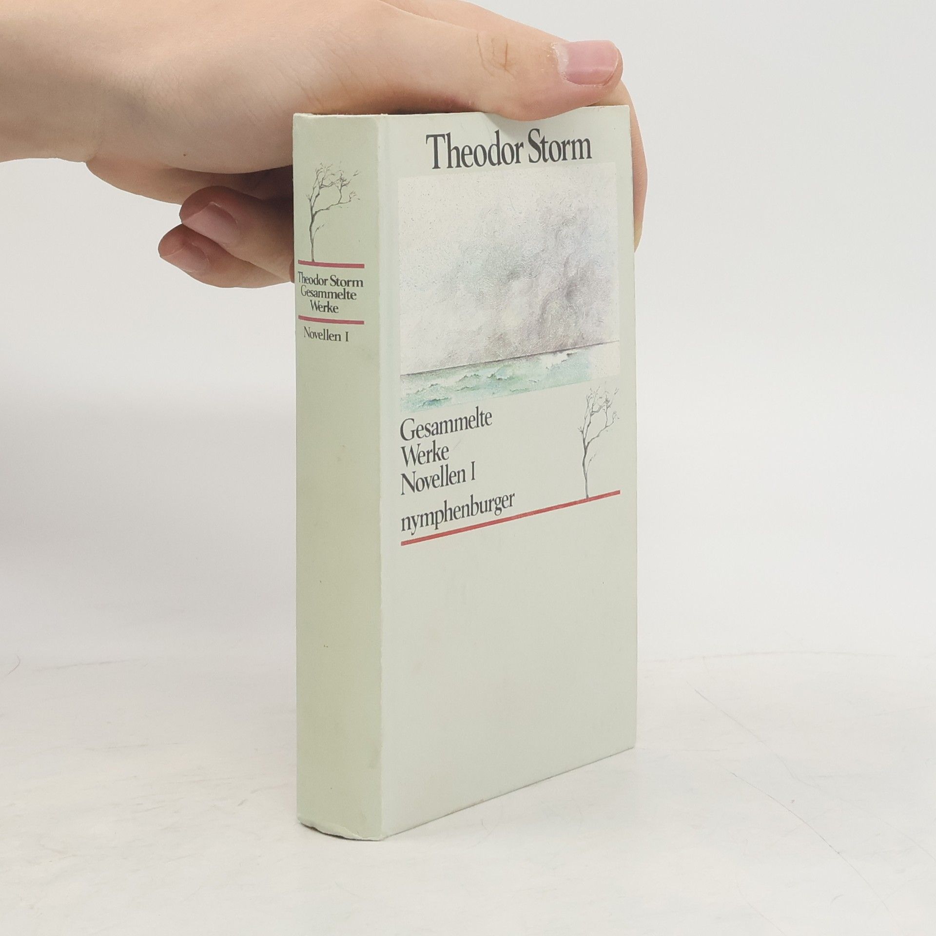 Theodor Storm Gesammelte Werke: Novellen I