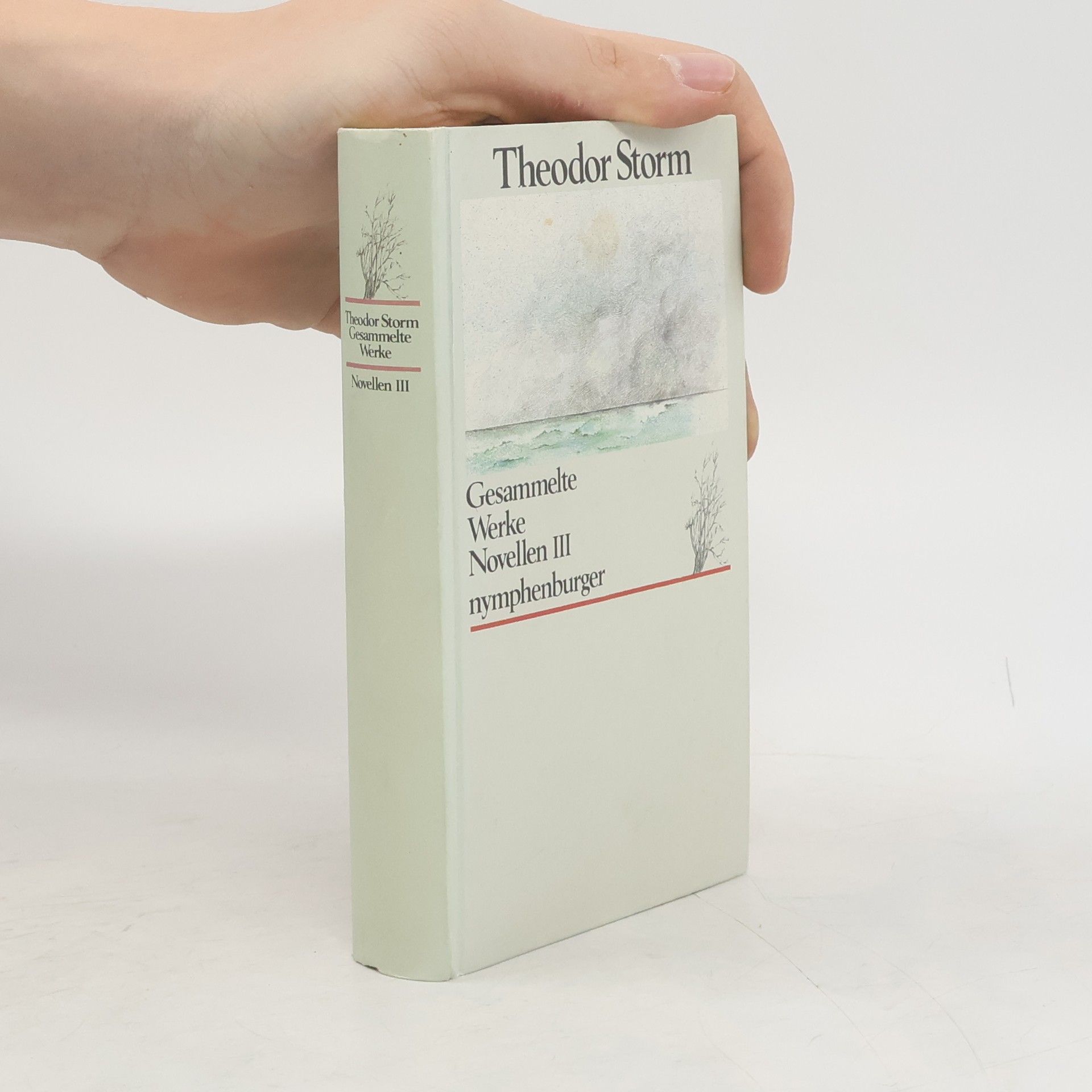 Theodor Storm Gesammelte Werke: Novellen III