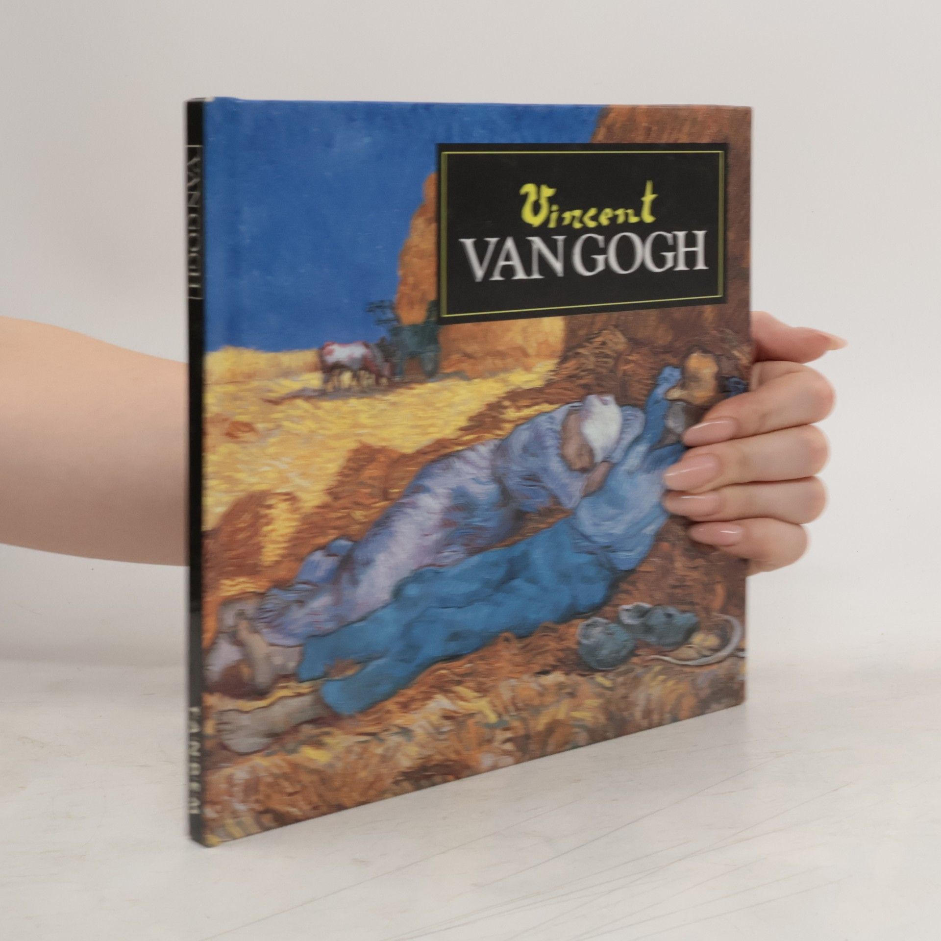 Vincent van Gogh Van Gogh