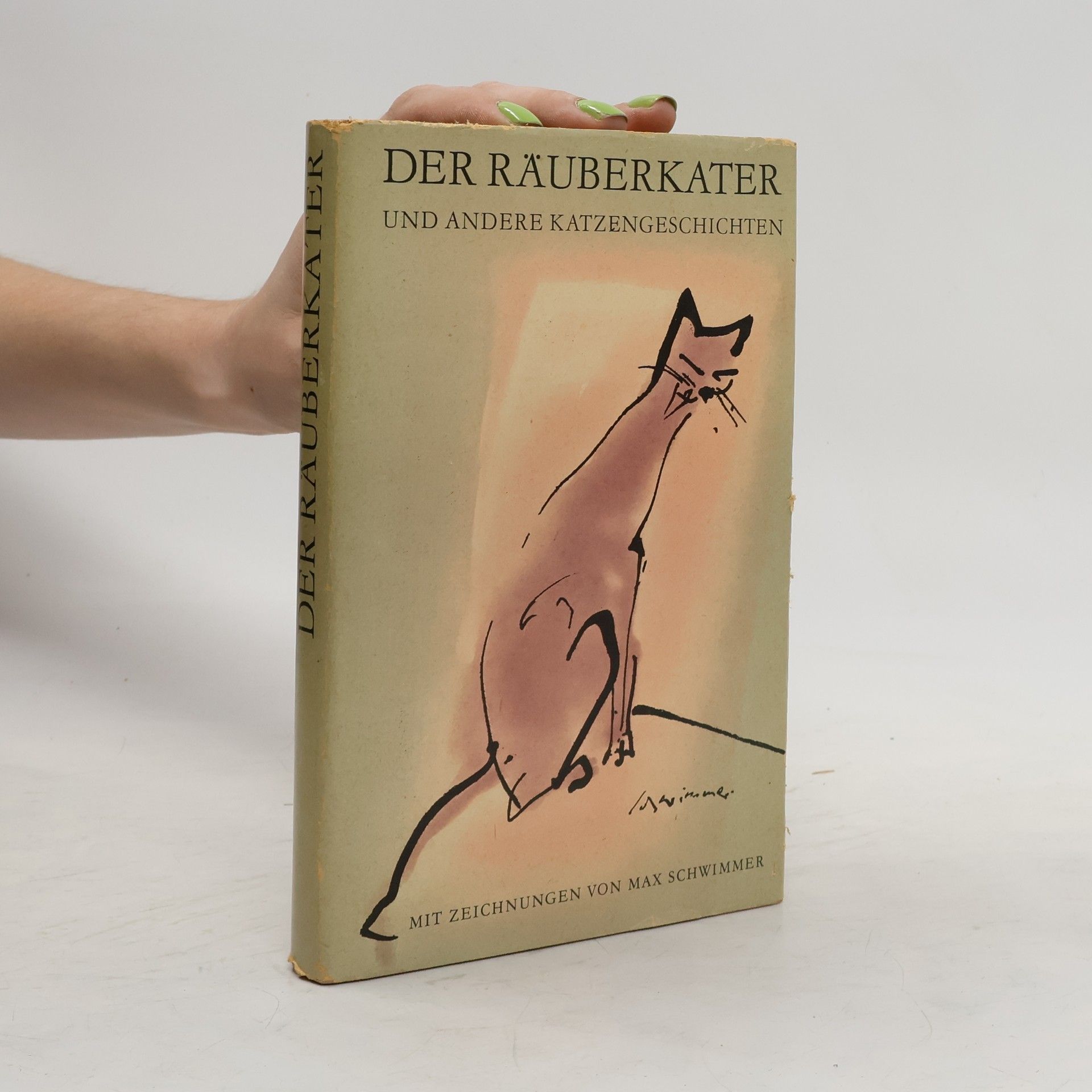 Franz Fabian Der Räuberkater und andere Katzengeschichten