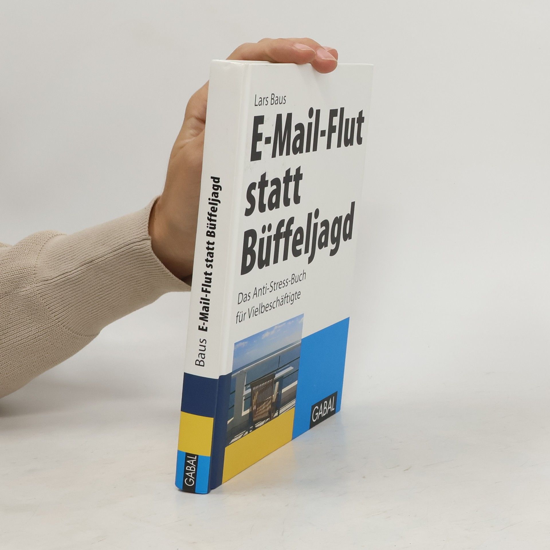 Lars Baus E-Mail-Flut statt Büffeljagd