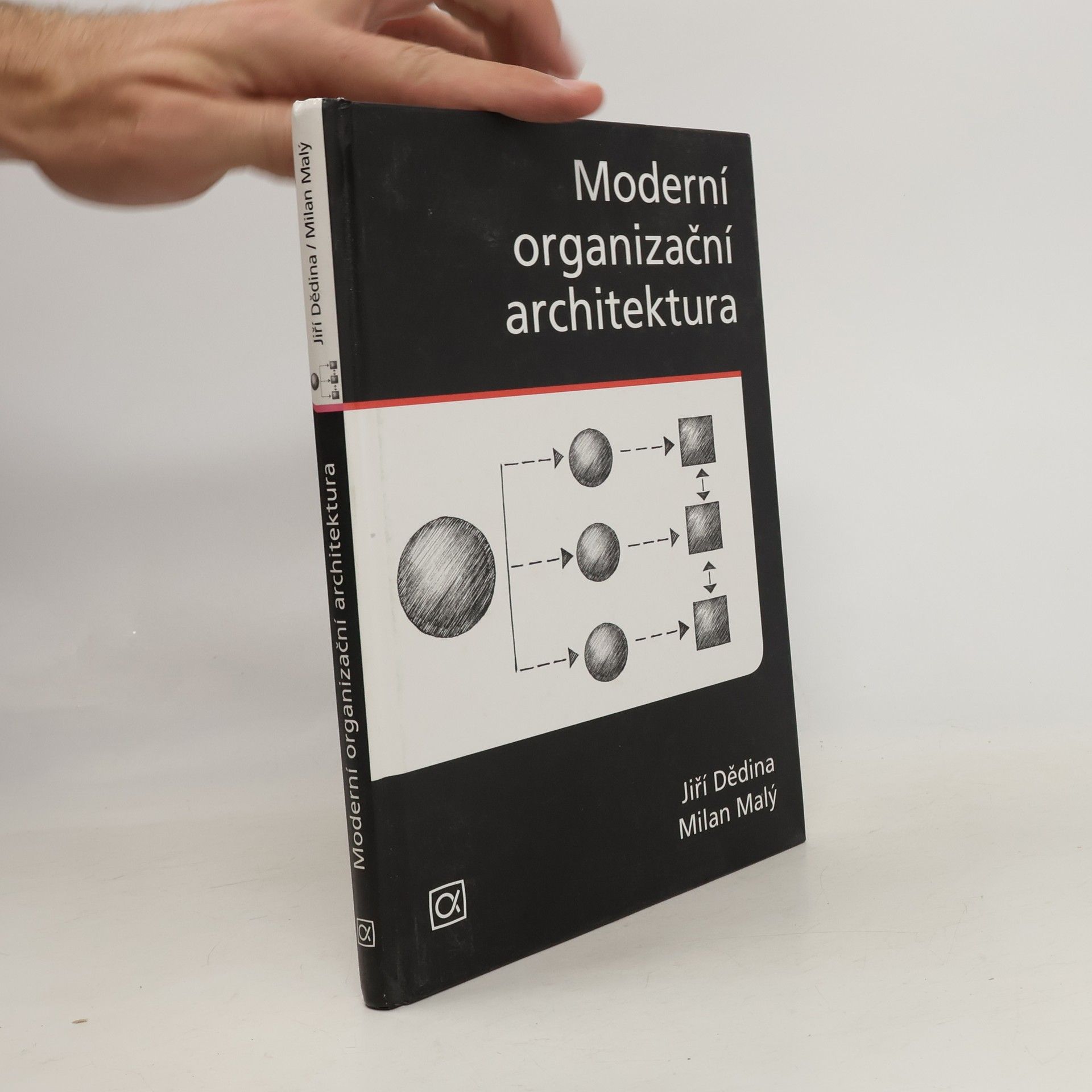 Jiří Dědina Moderní organizační architektura