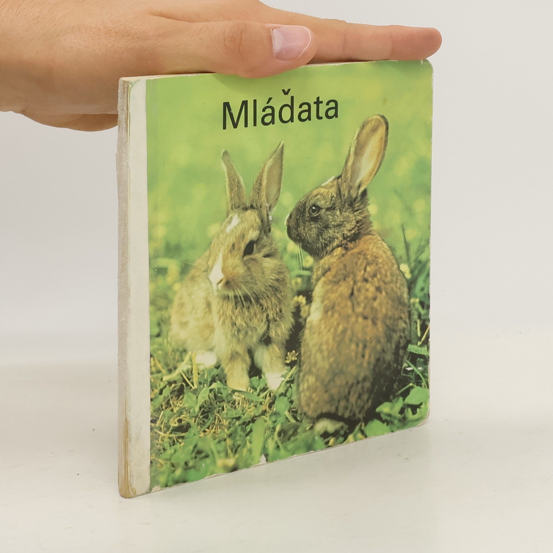 Kolektiv autorů Mláďata
