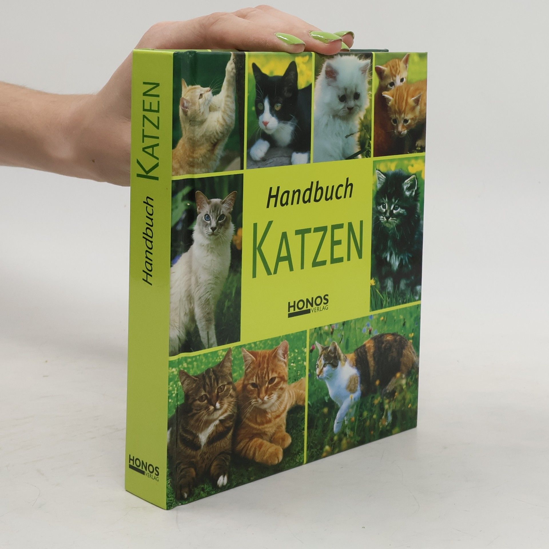AA.VV. Handbuch Katzen