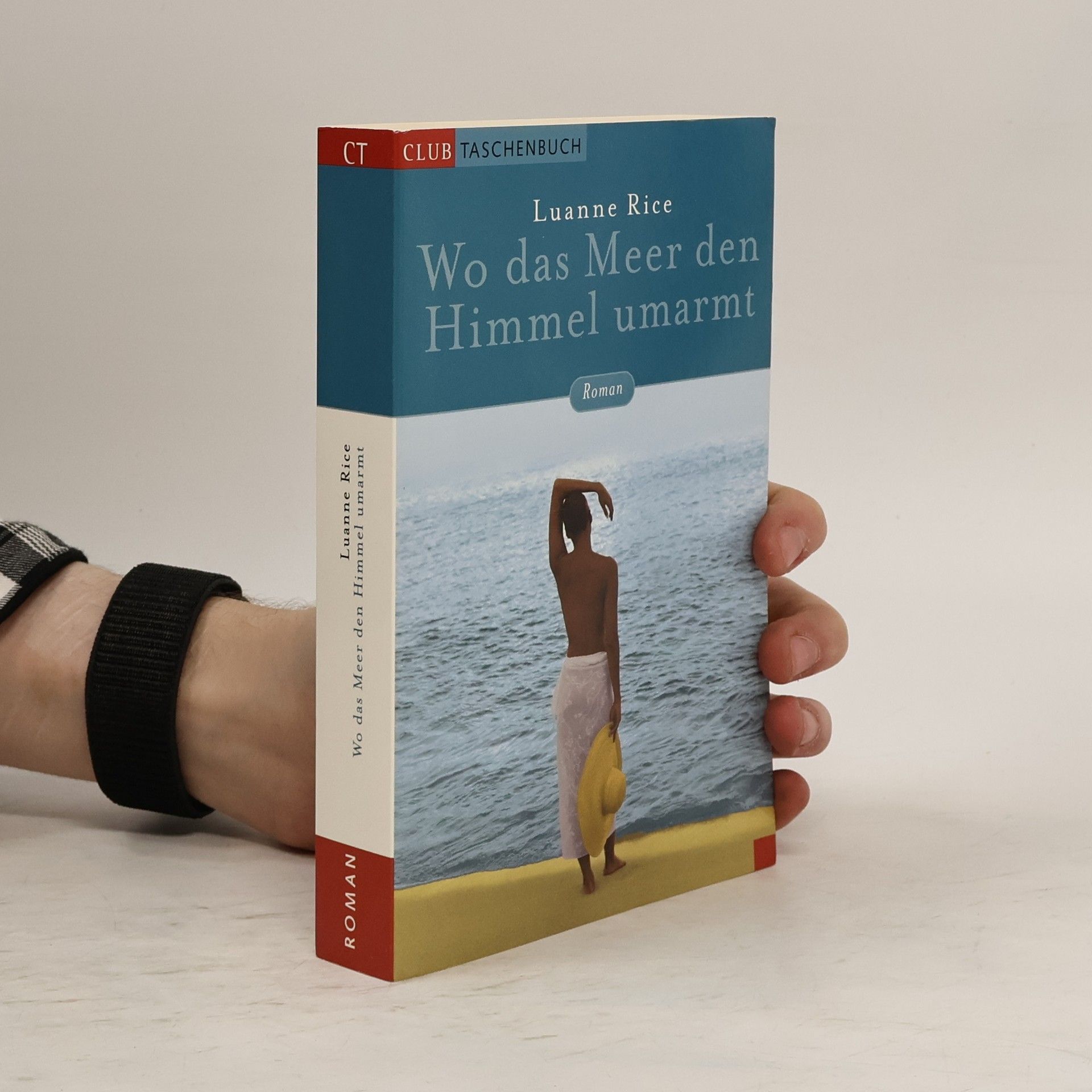 Luanne Rice Wo das Meer den Himmel umarmt