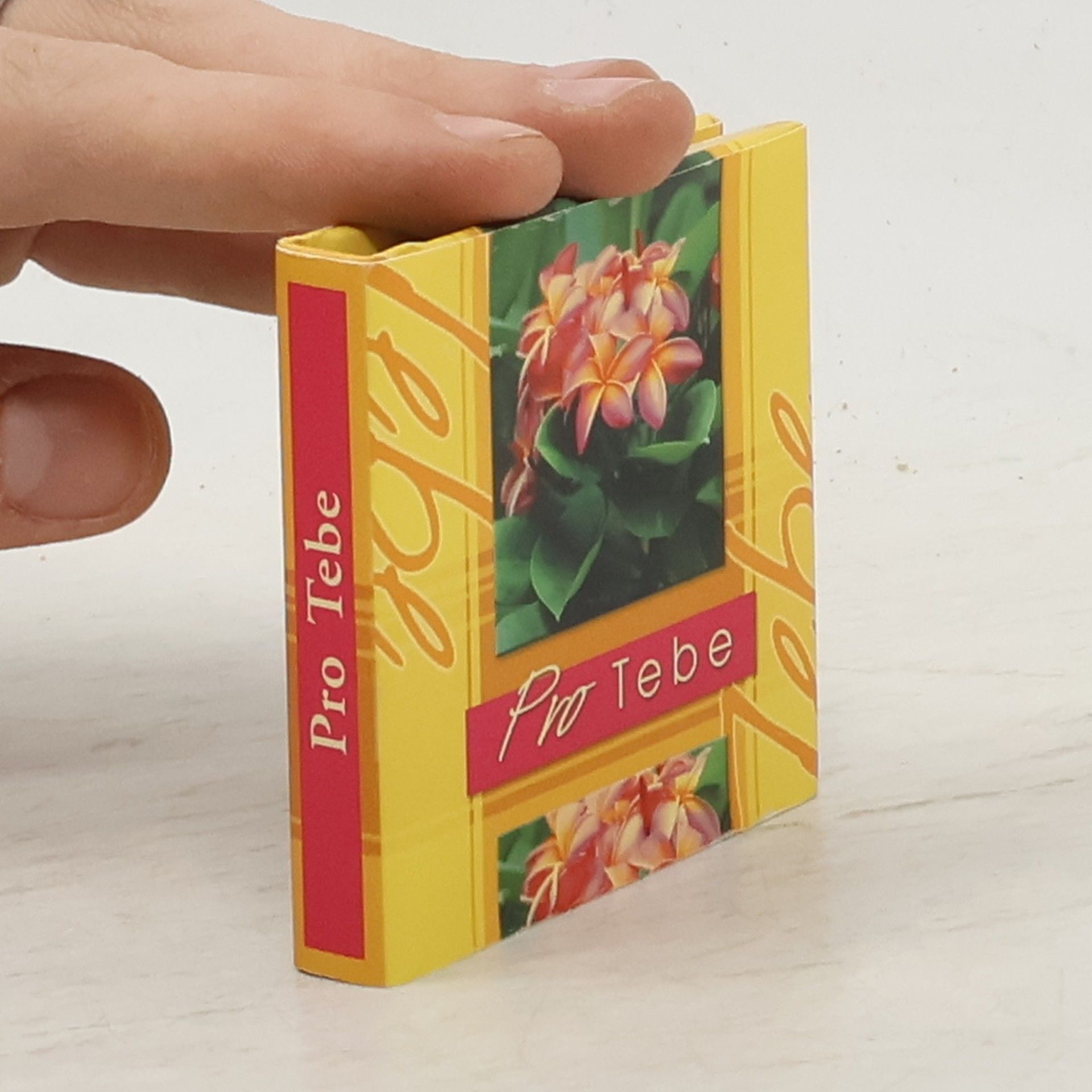 Kolektív autorov Pro Tebe