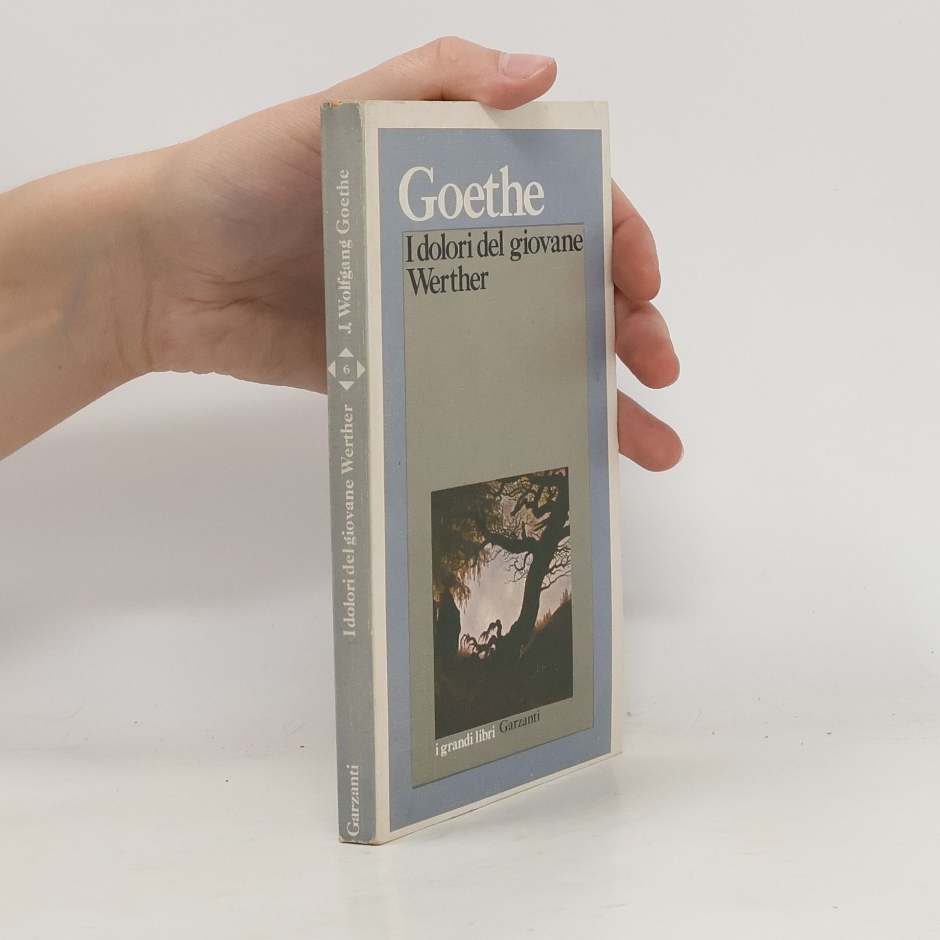 Johann Wolfgang von Goethe I dolori del giovane Werther