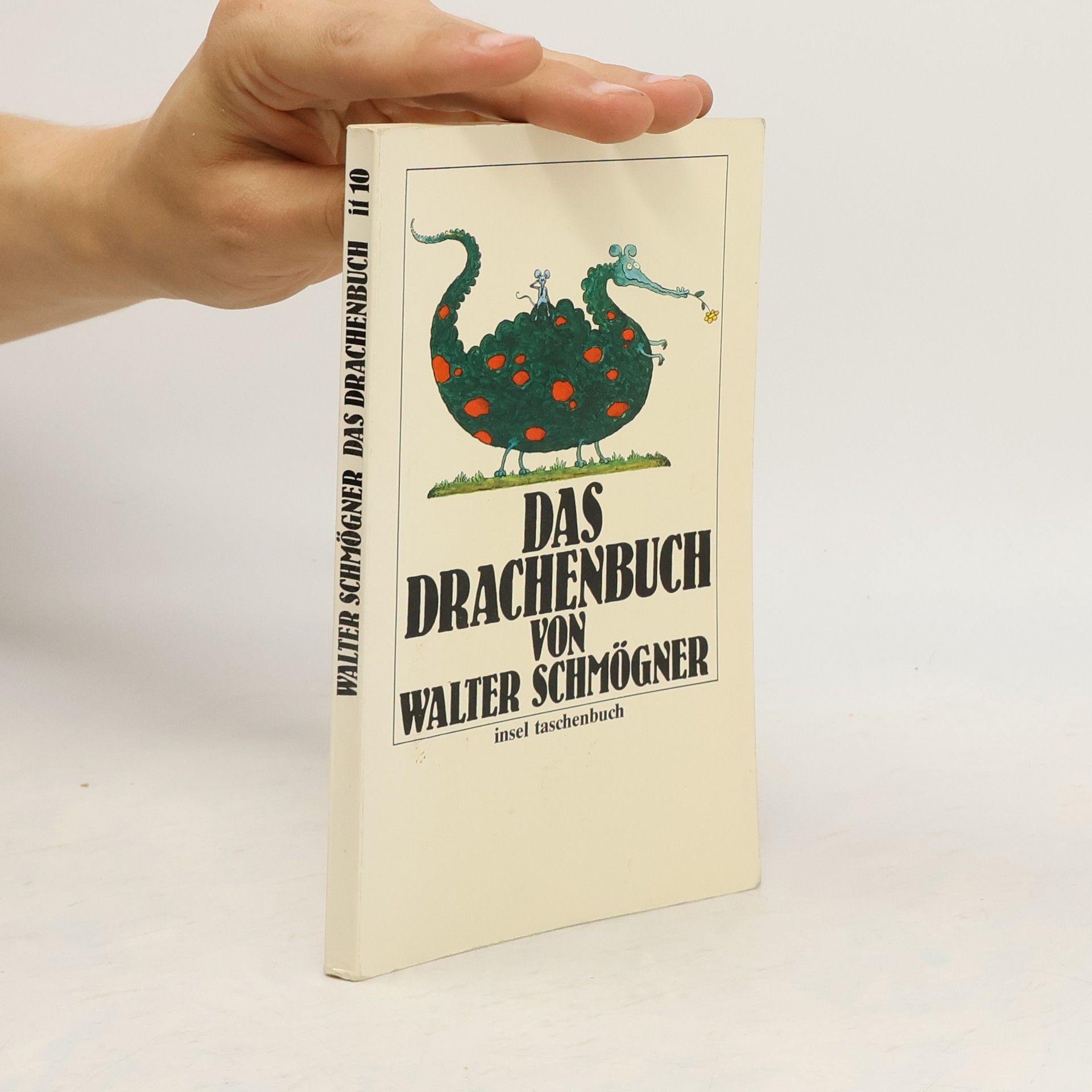 Walter Schmögner Das Drachenbuch