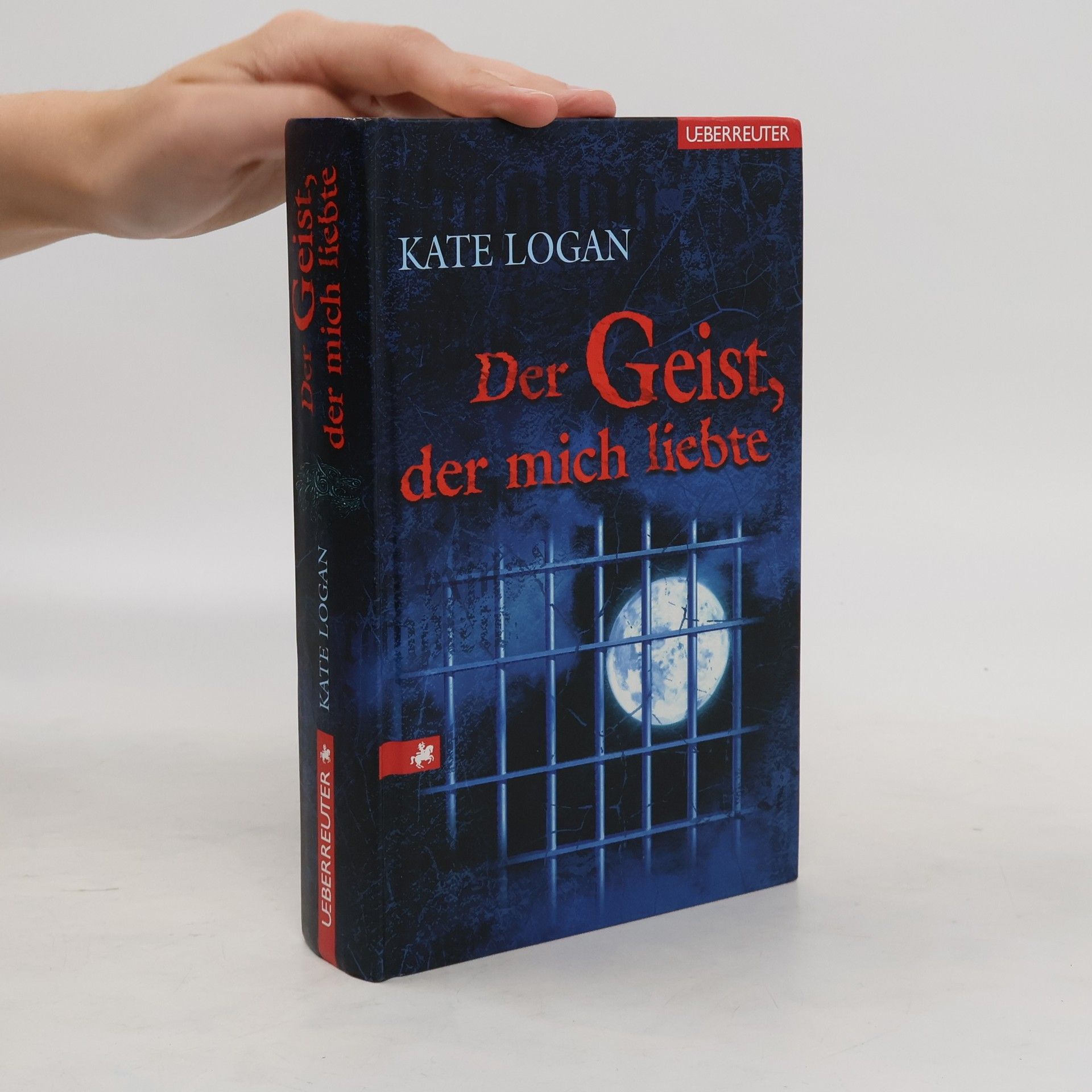 Brigitte Melzer Der Geist, der mich liebte