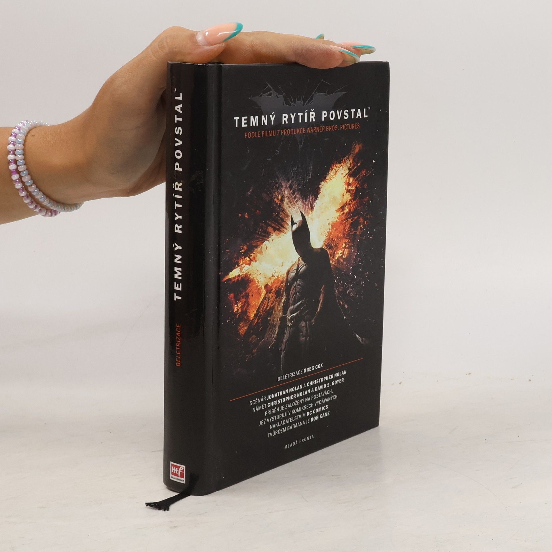 David S. Goyer Temný rytíř povstal: Oficiální beletrizace filmu