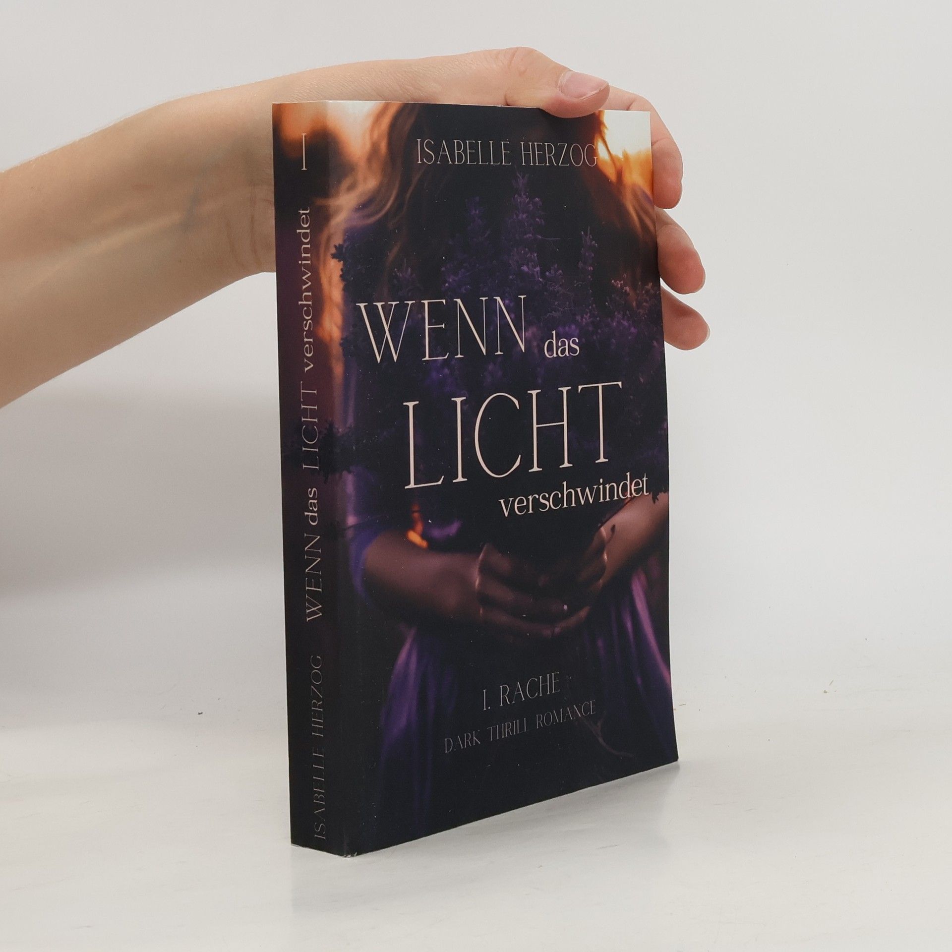 Isabelle Herzog Wenn das Licht verschwindet (Wenn-Reihe 1)