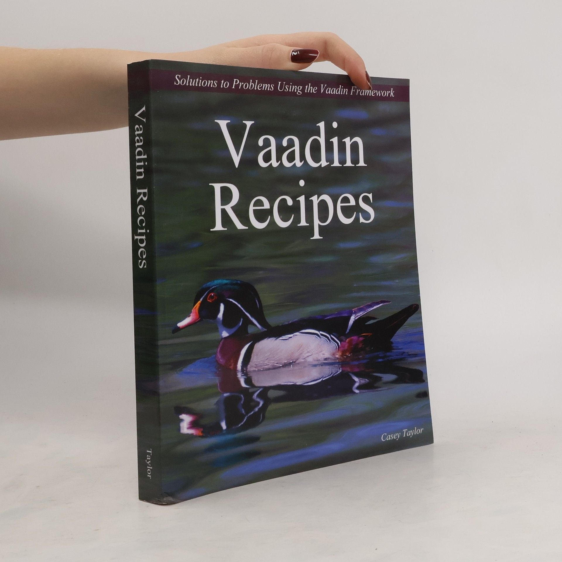 Casey Taylor Vaadin Recipes