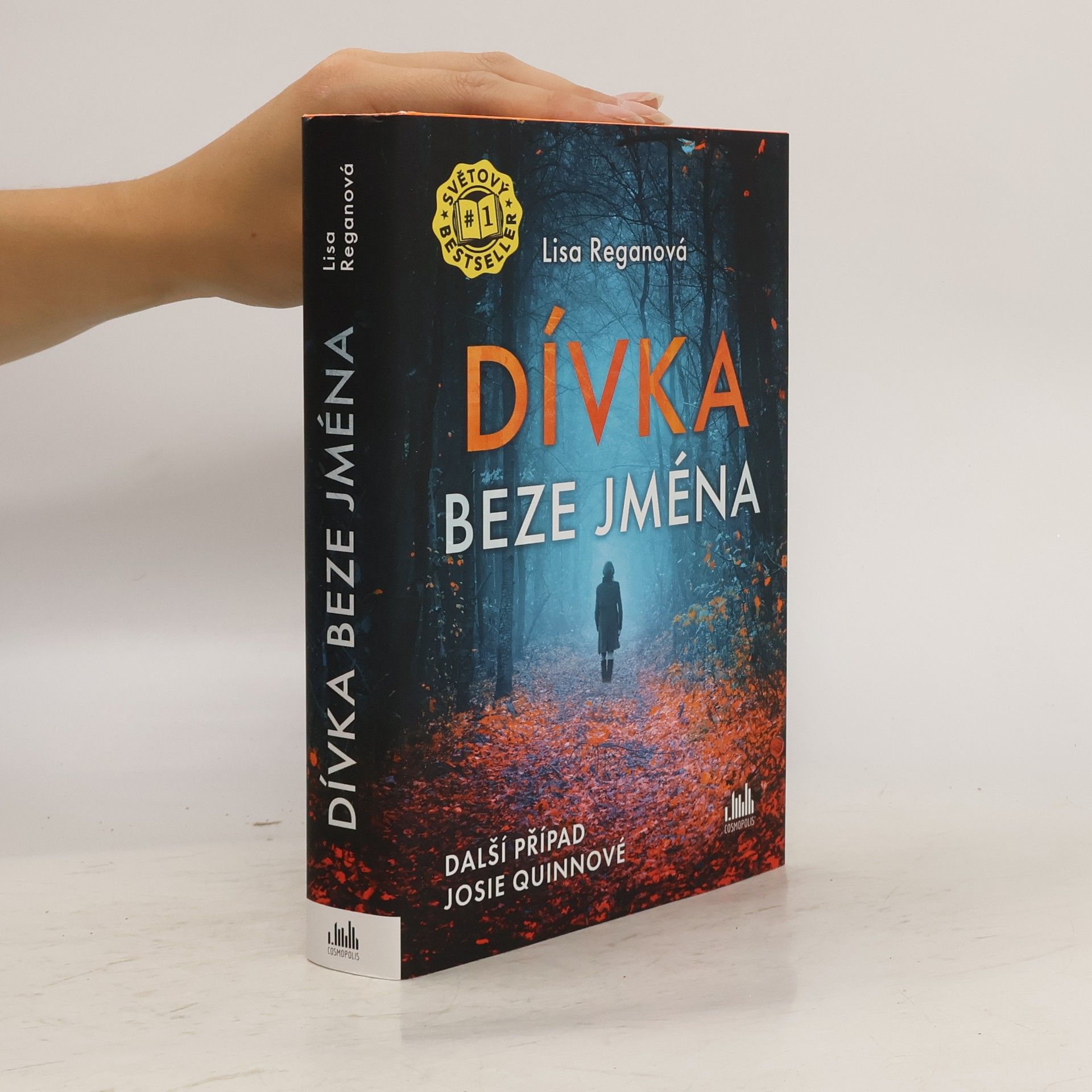 Lisa Regan Dívka beze jména: Další případ Josie Quinnové