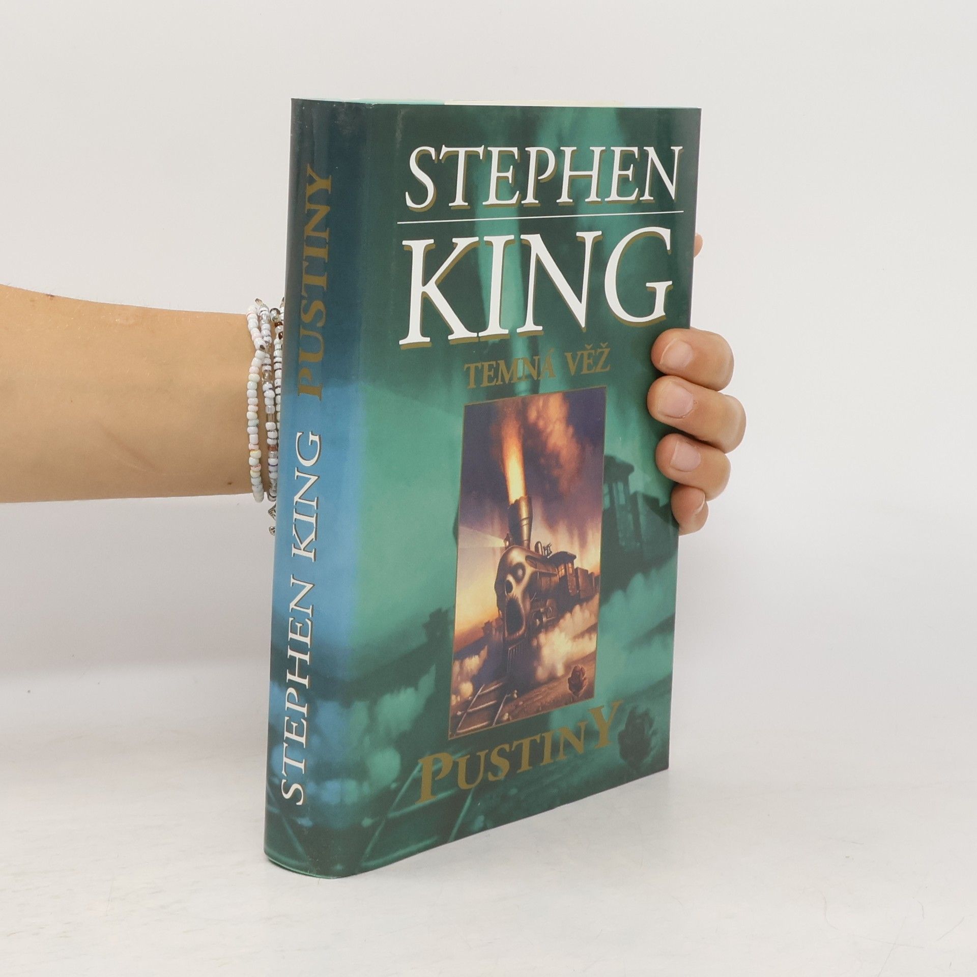 Stephen King Temná věž. Pustiny