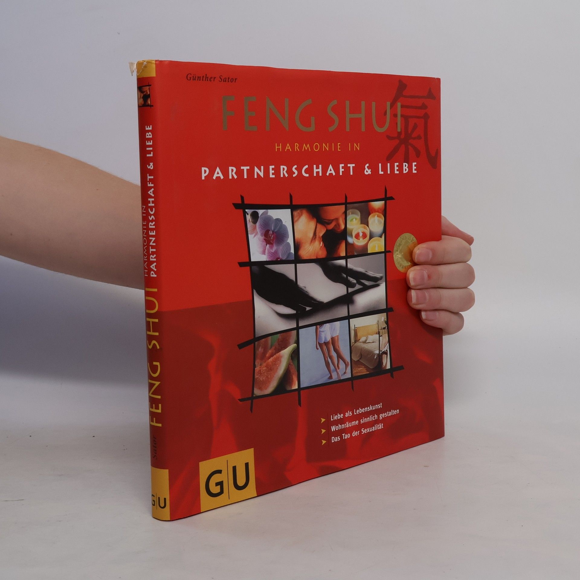 Günther Sator Feng shui: Harmonien in partnerschaft & liebe