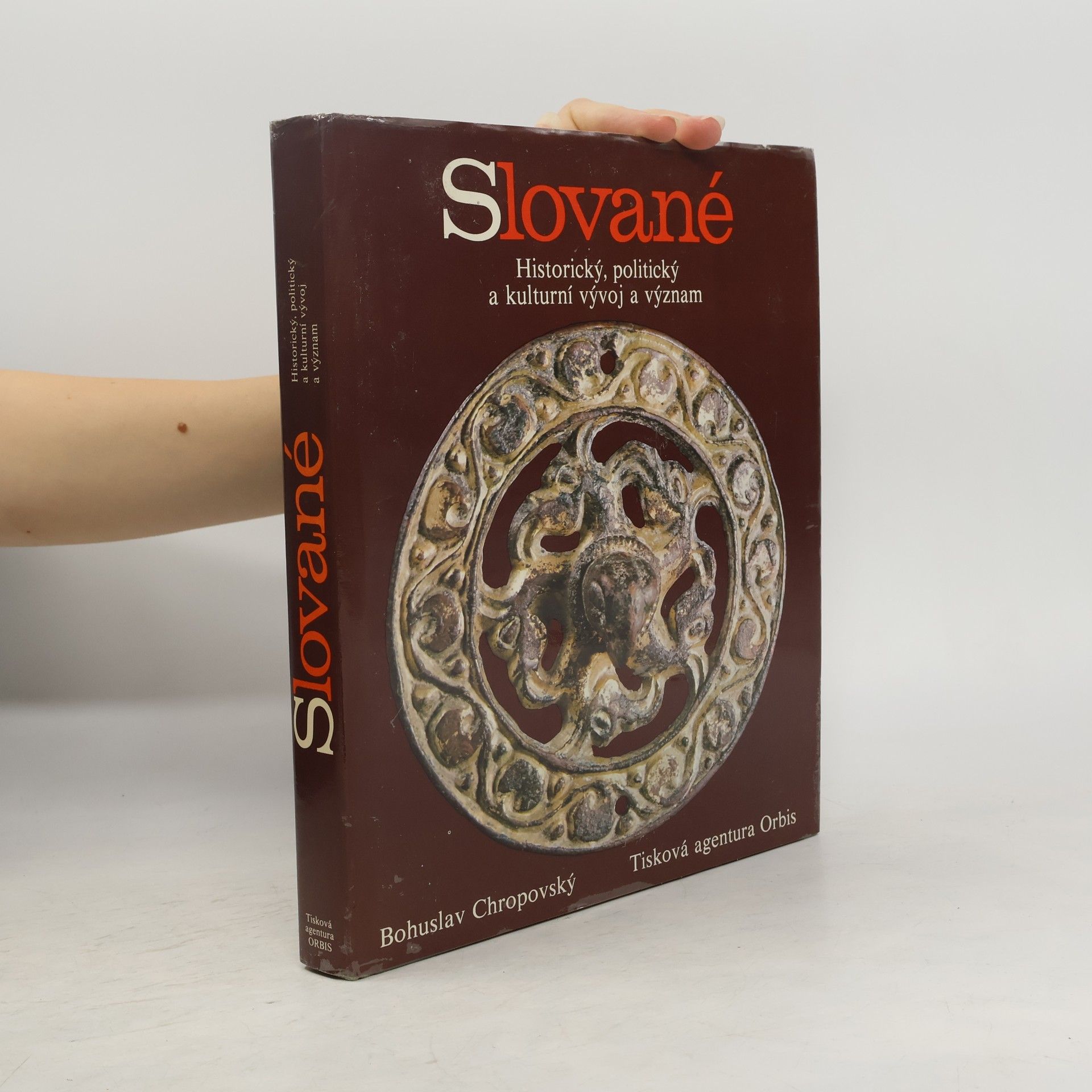 Slované. Historický, politický a kulturní vývoj a význam