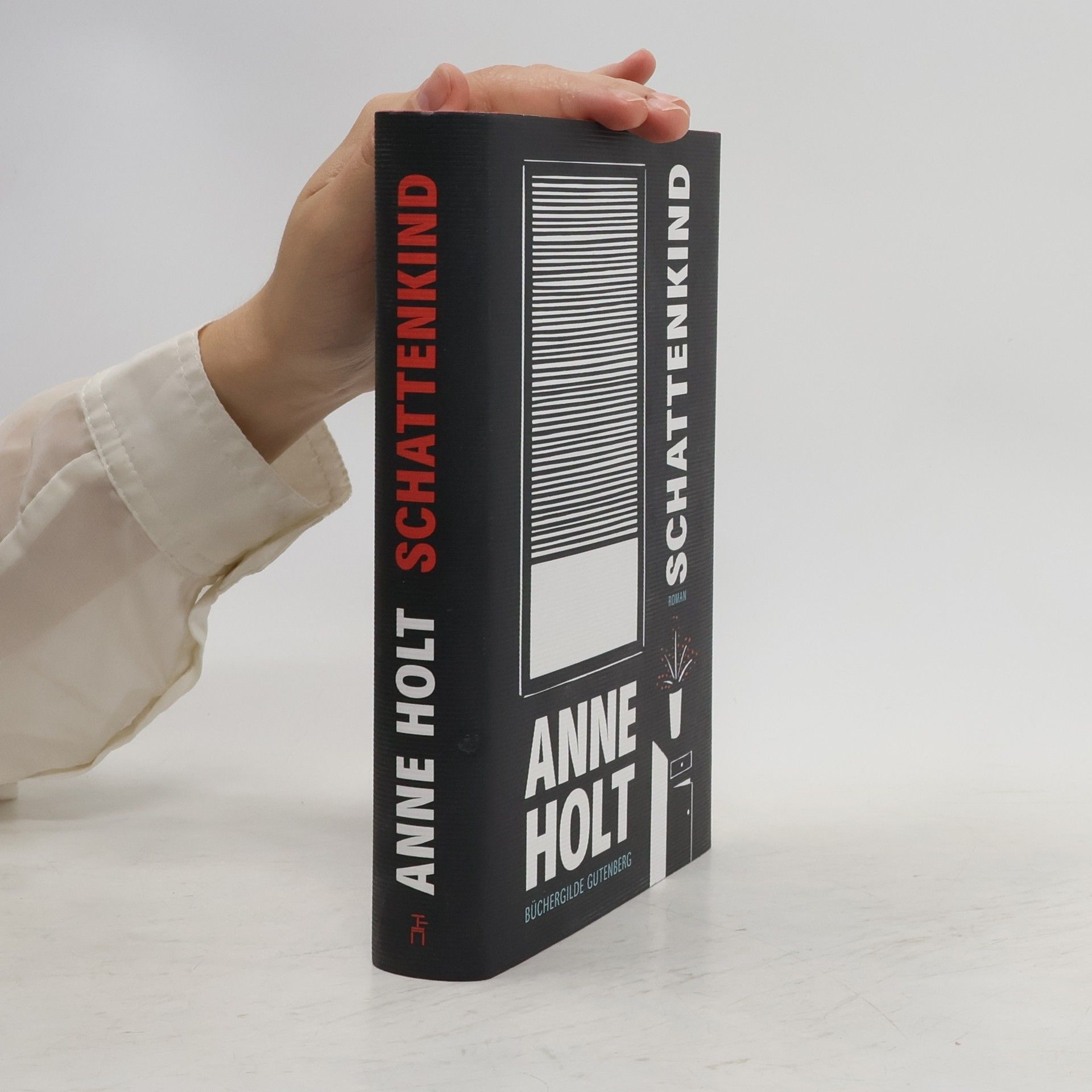 Anne Holt Schattenkind