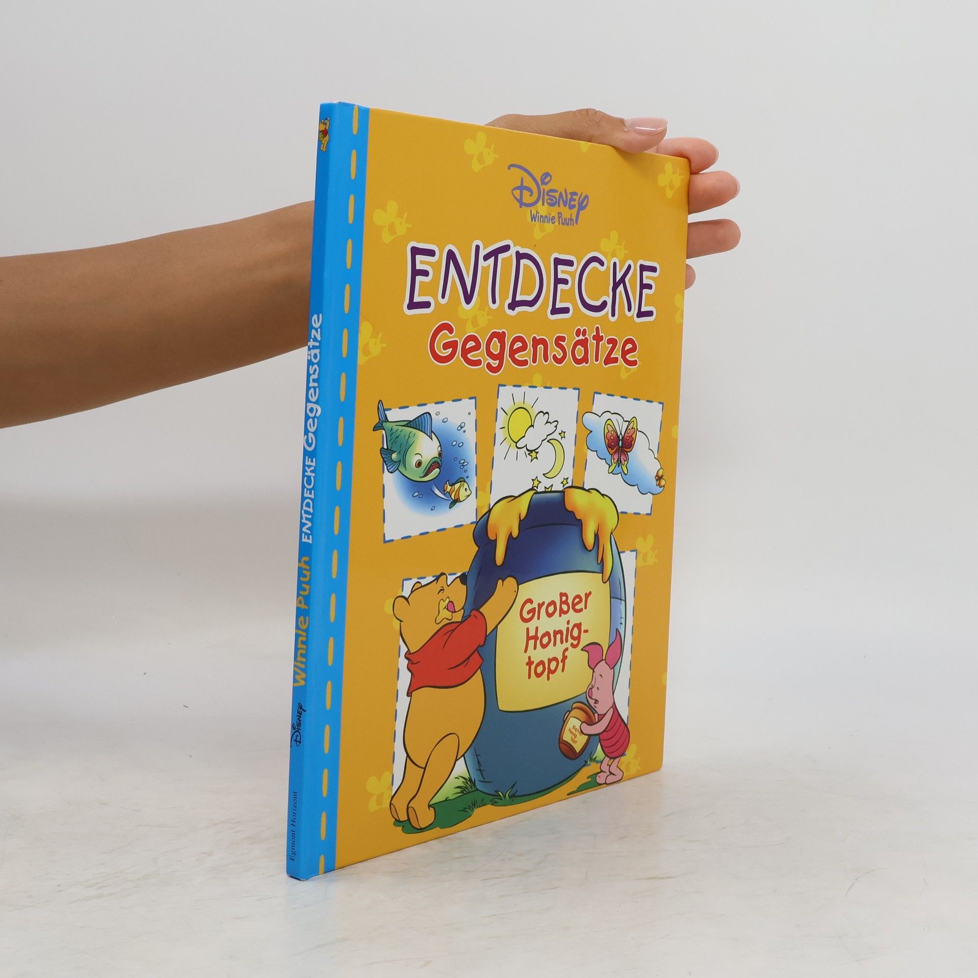 Collectif d'auteurs Entdecke Gegensätze