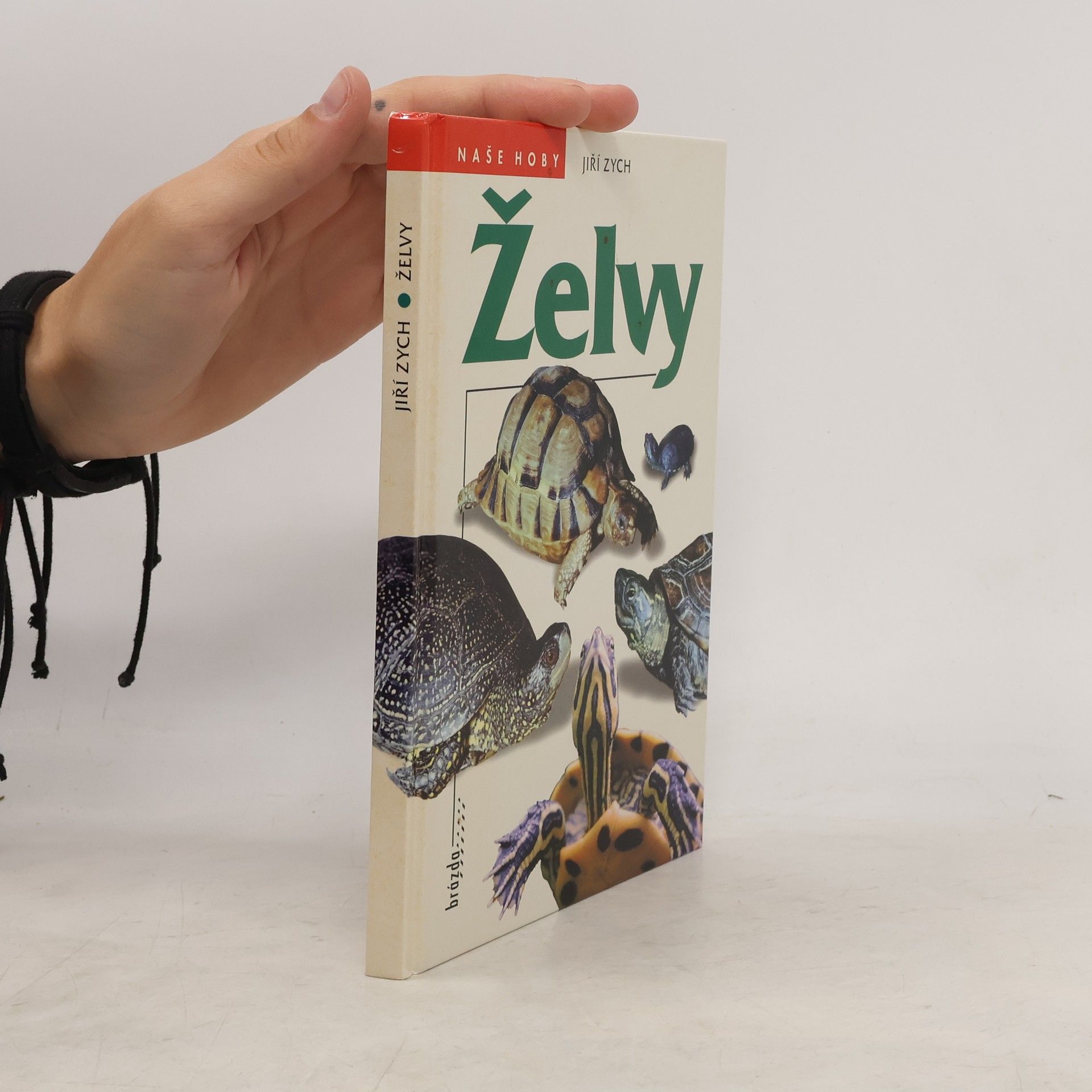 Jiri Zych Želvy