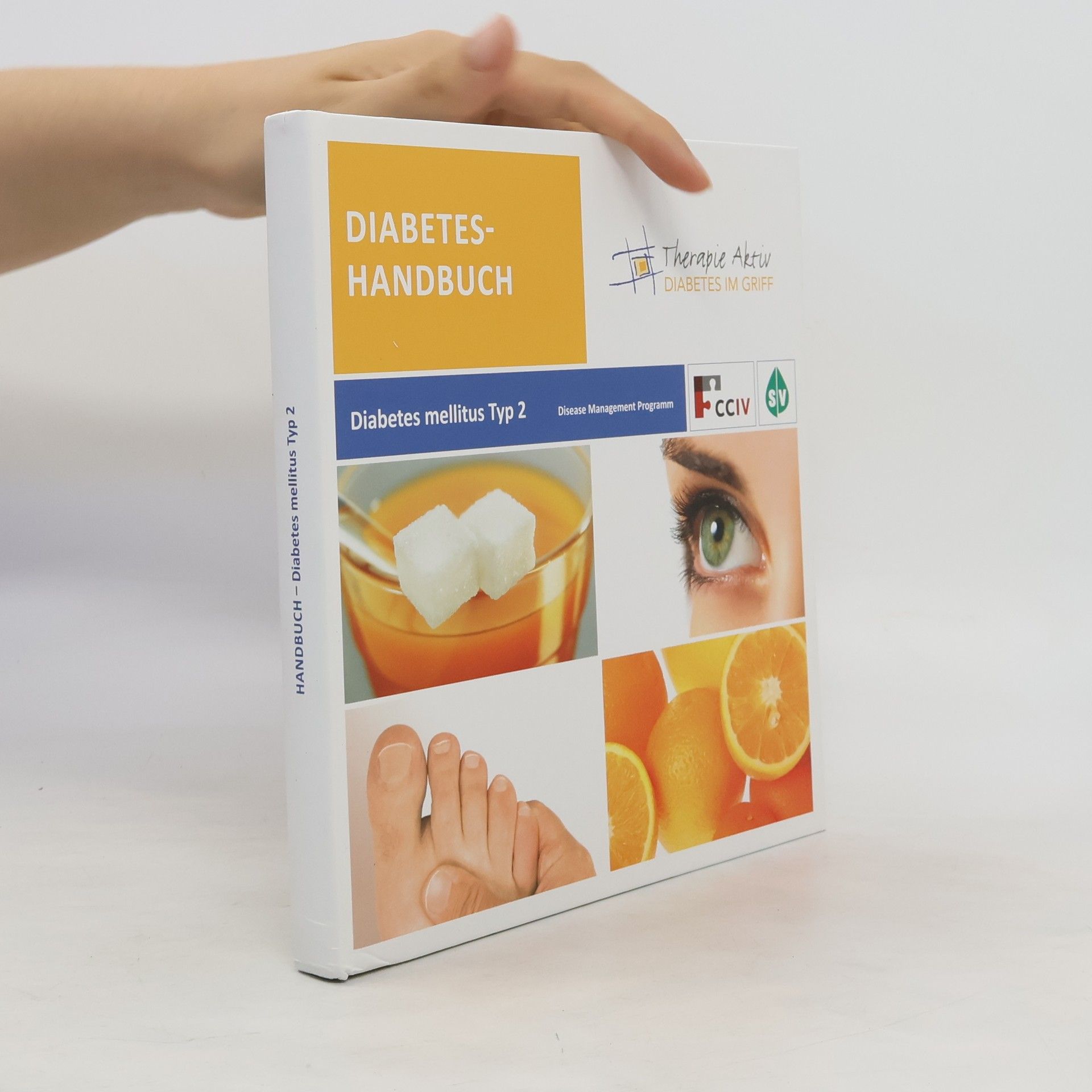 Kolektív autorov Diabetes-Handbuch. Diabetes mellitus Typ 2