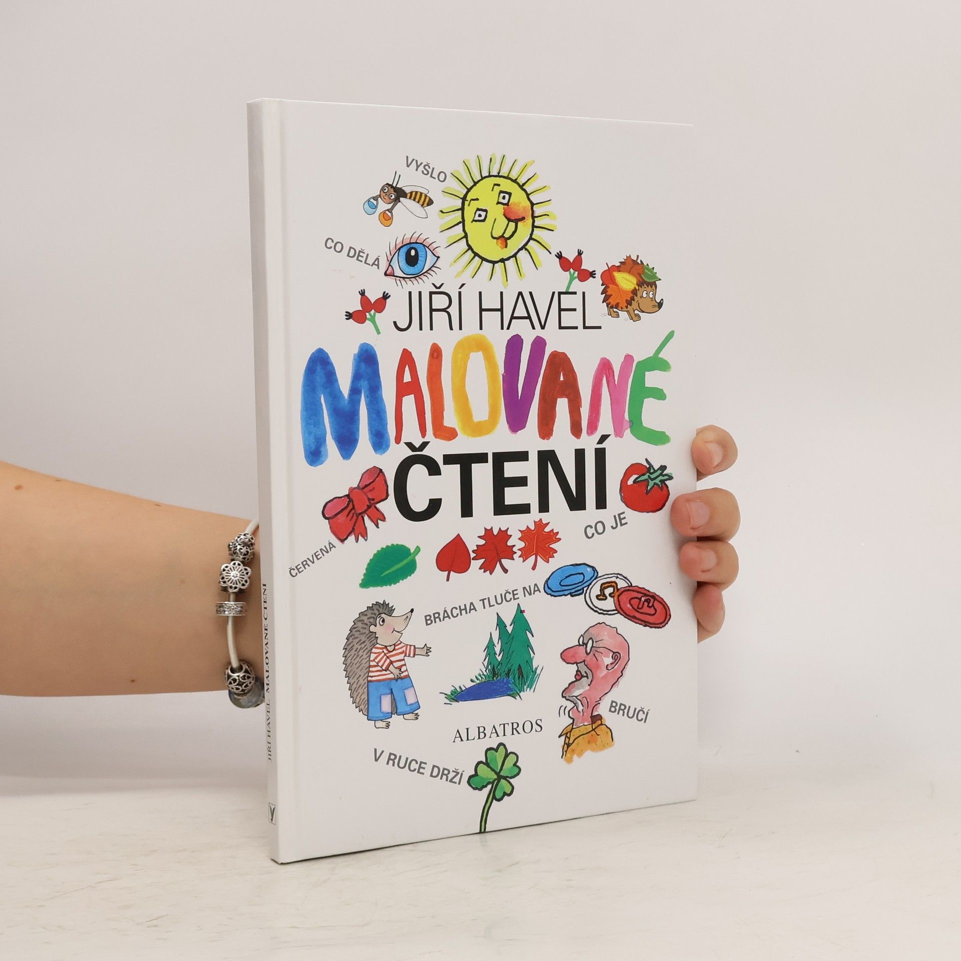 Jiří Havel Malované čtení