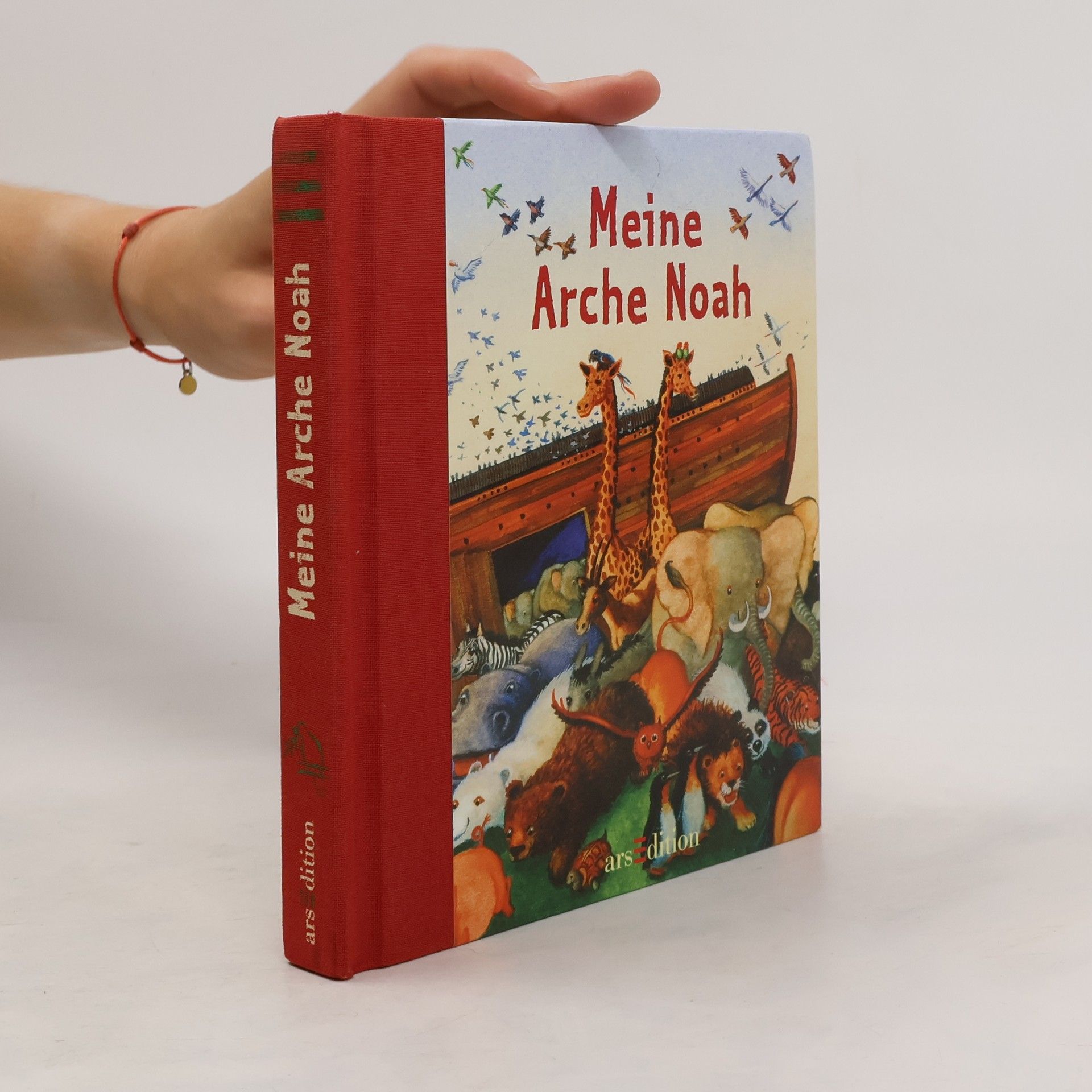 Rosemarie Künzler-Behncke Meine Arche Noah