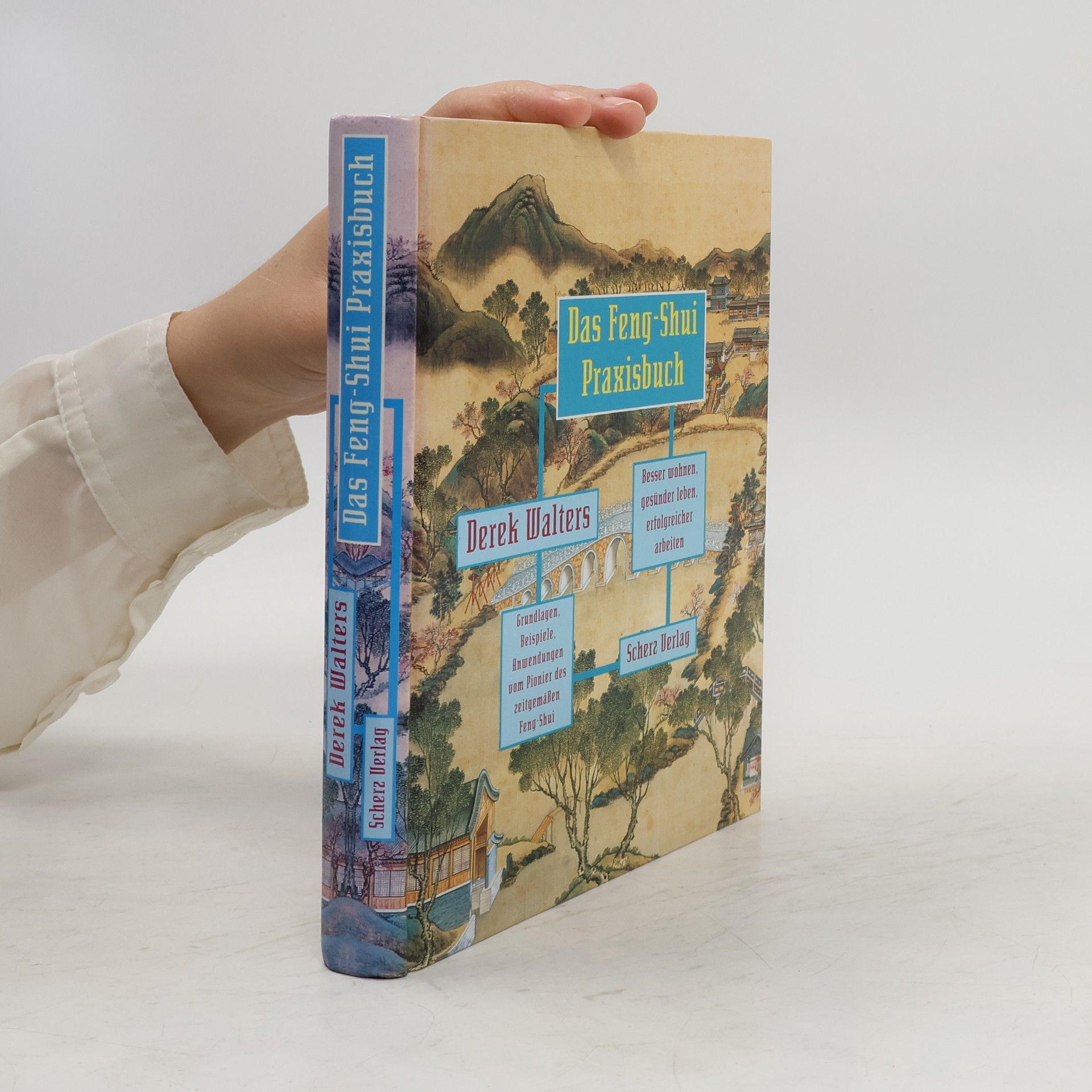Derek Walters Das Feng-Shui-Praxisbuch