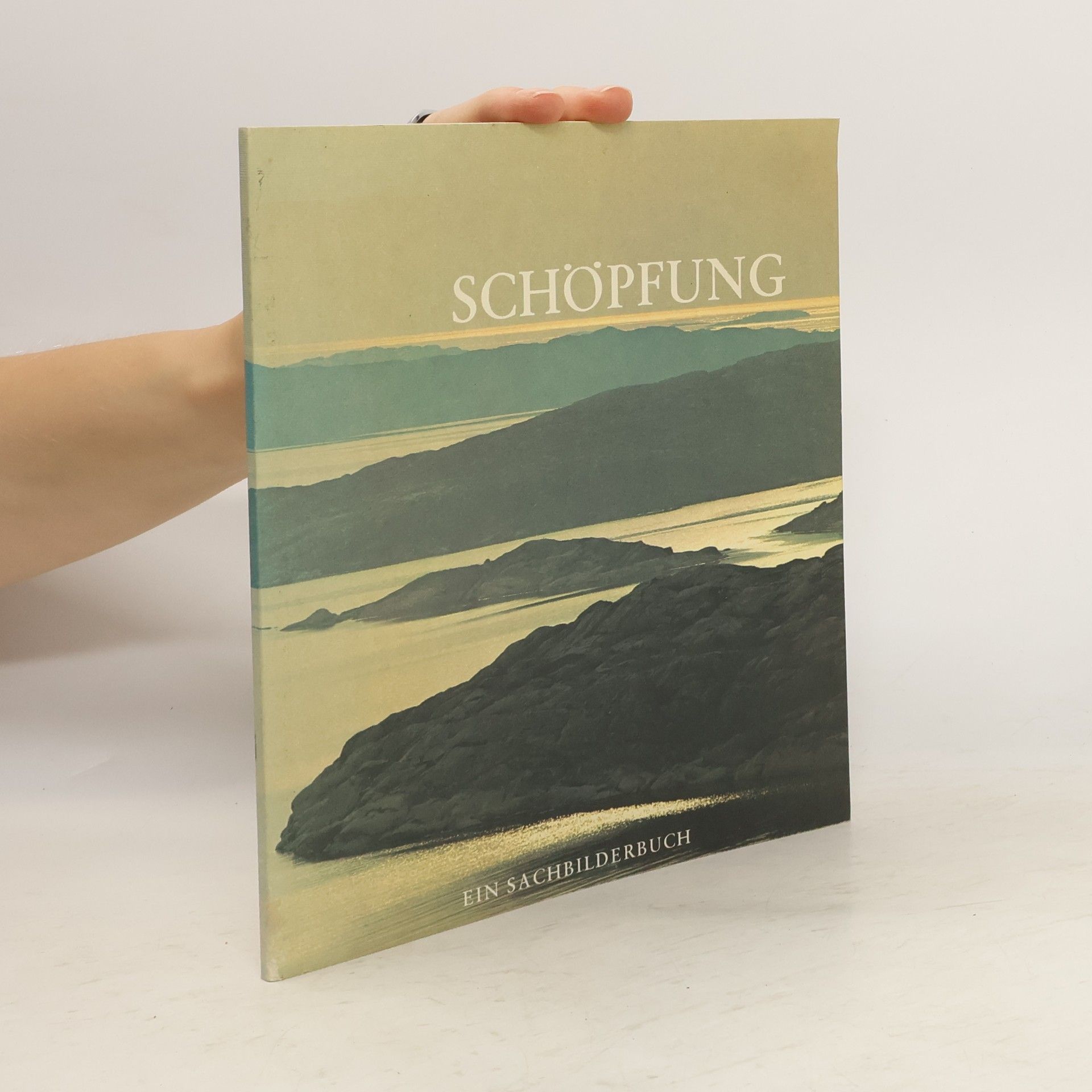 Dietrich Steinwede Schöpfung