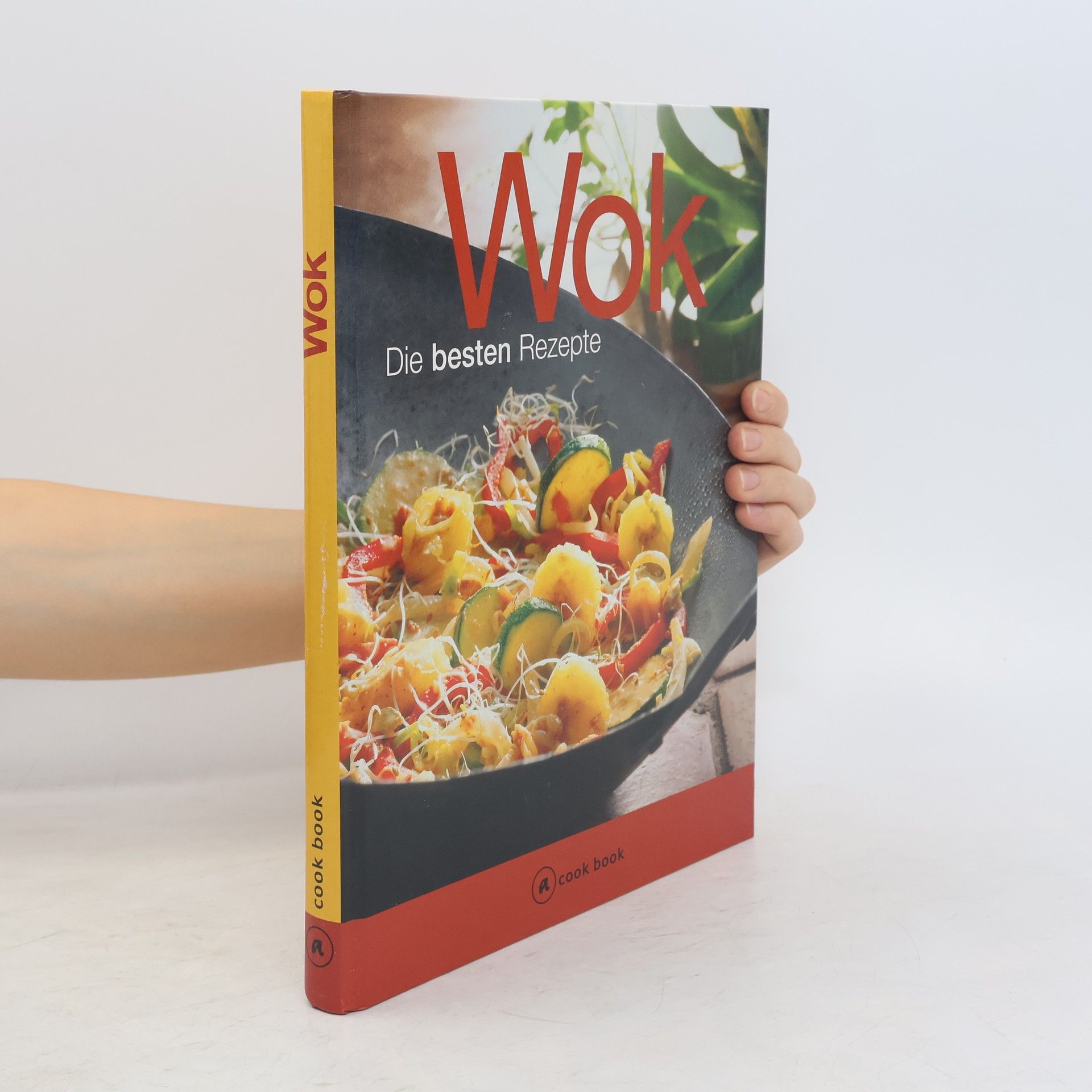 Autorenkollektiv Wok. Die besten Rezepte