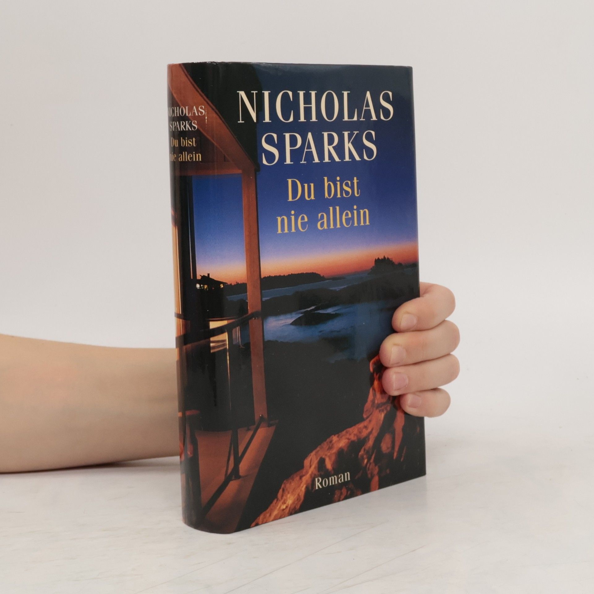 Nicholas Sparks Du bist nie allein