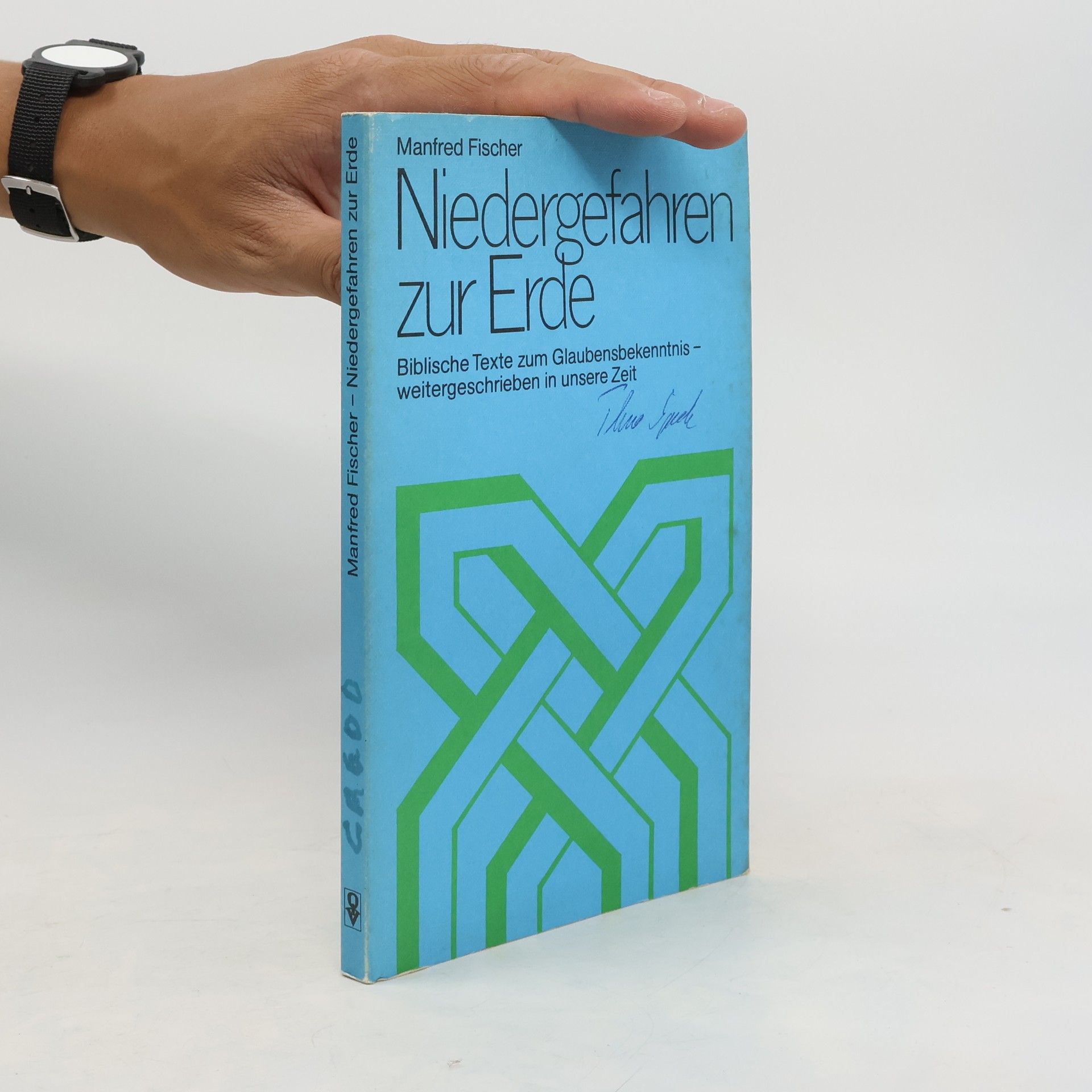 Manfred Fischer Niedergefahren zur Erde
