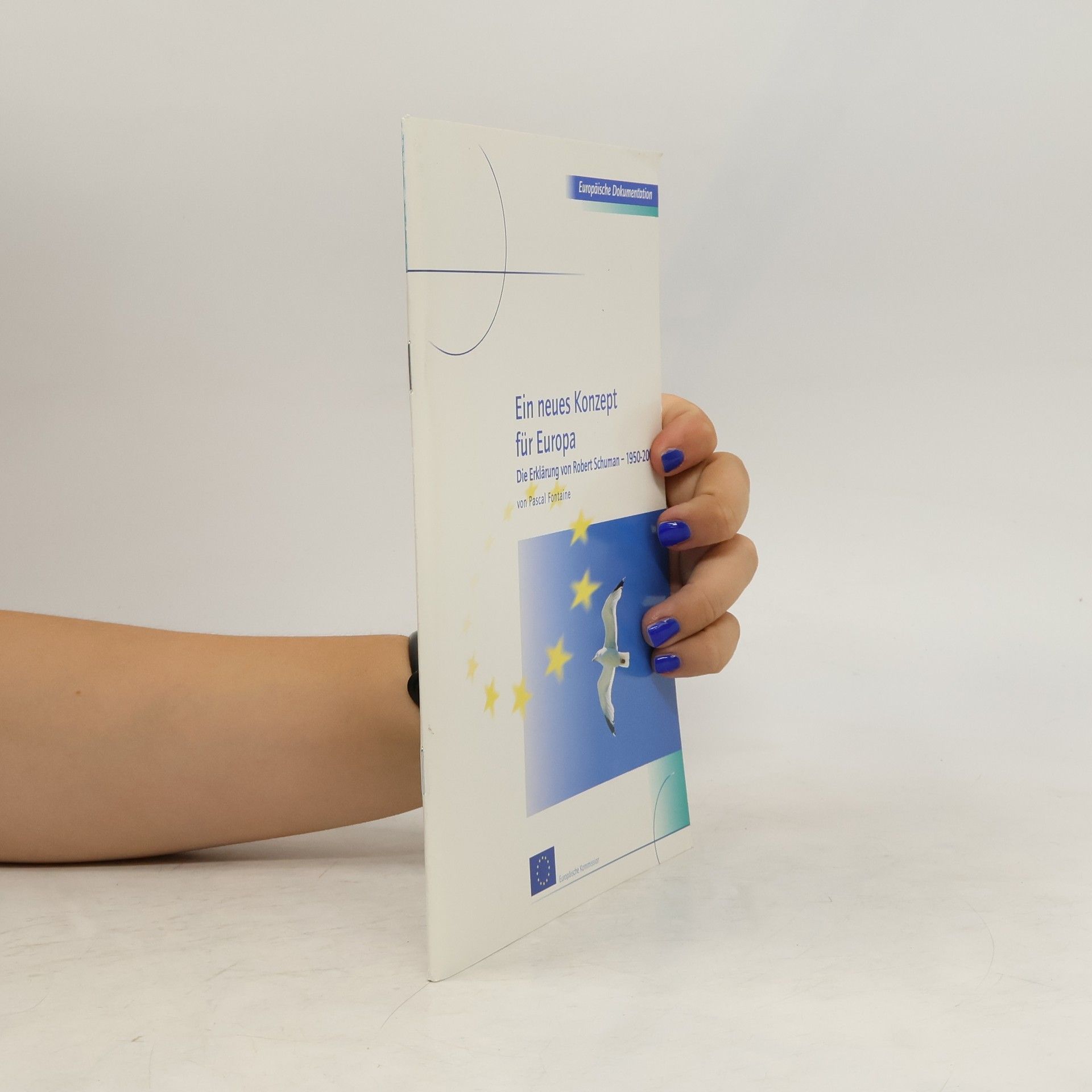 Pascal Fontaine Ein neues Konzept für Europa