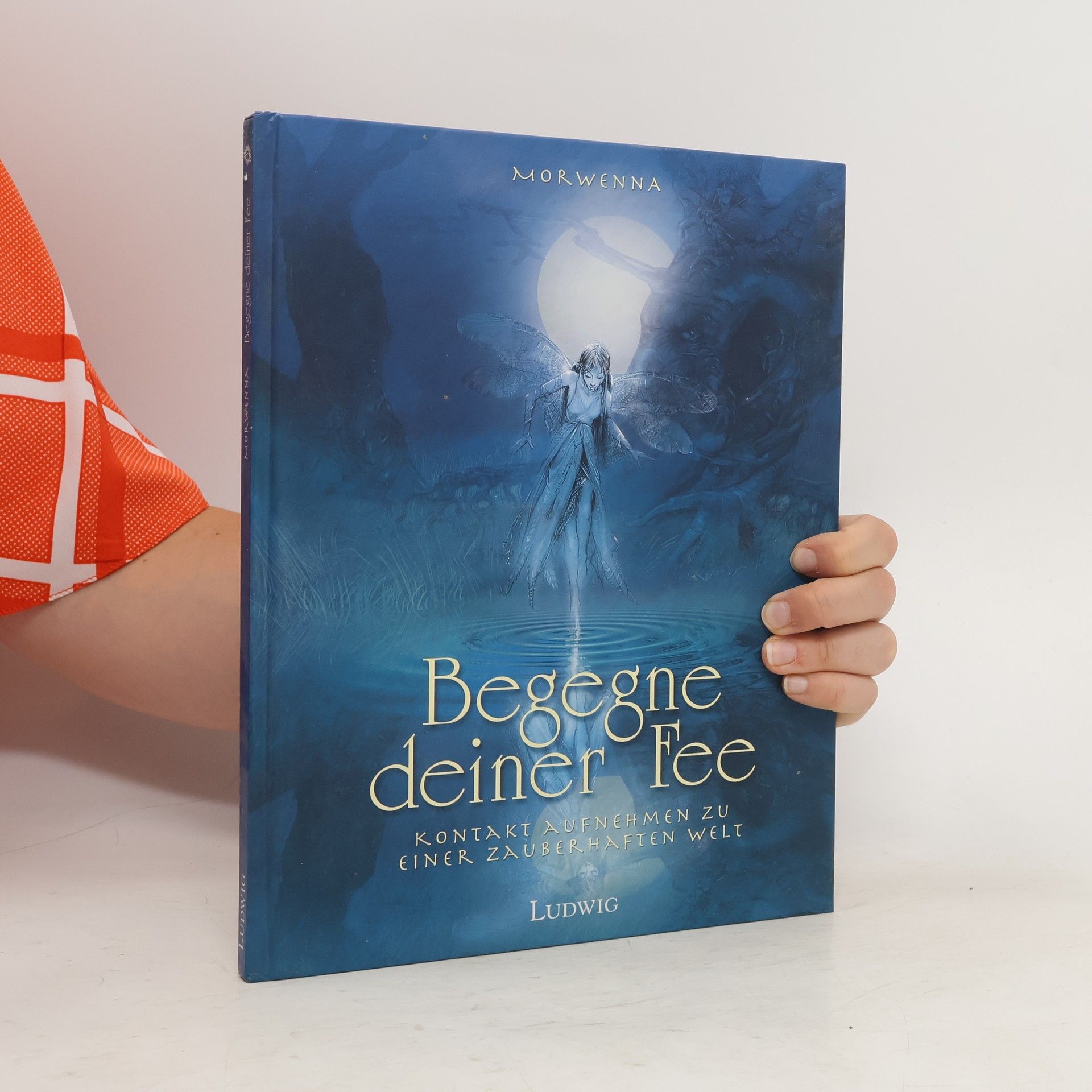 Morwenna Begegne deiner Fee