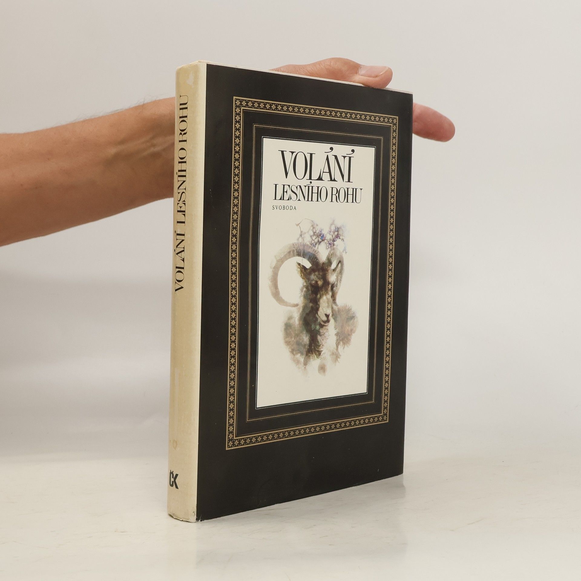 Collectif d'auteurs Volání lesního rohu