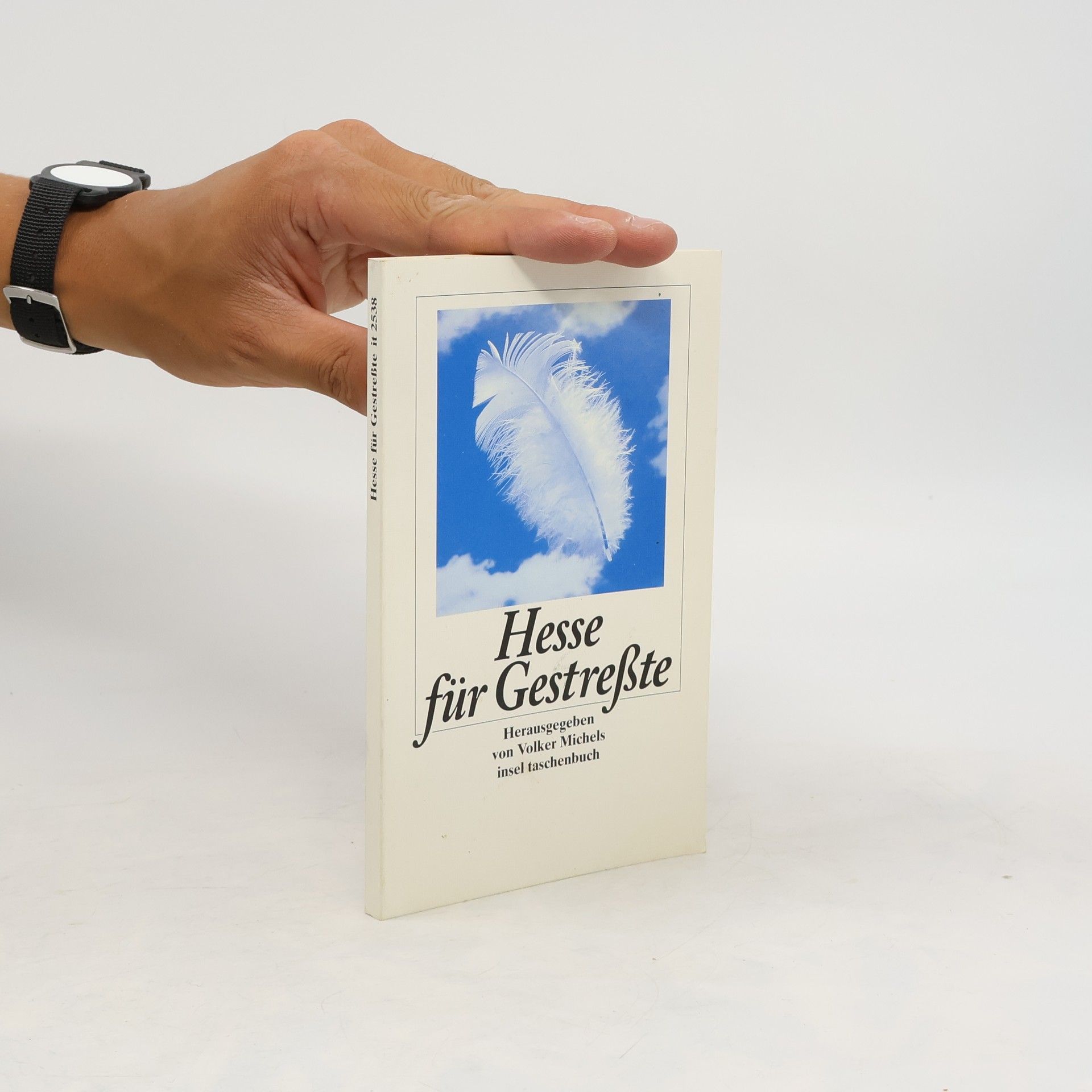 Hermann Hesse Hesse für Gestreßte