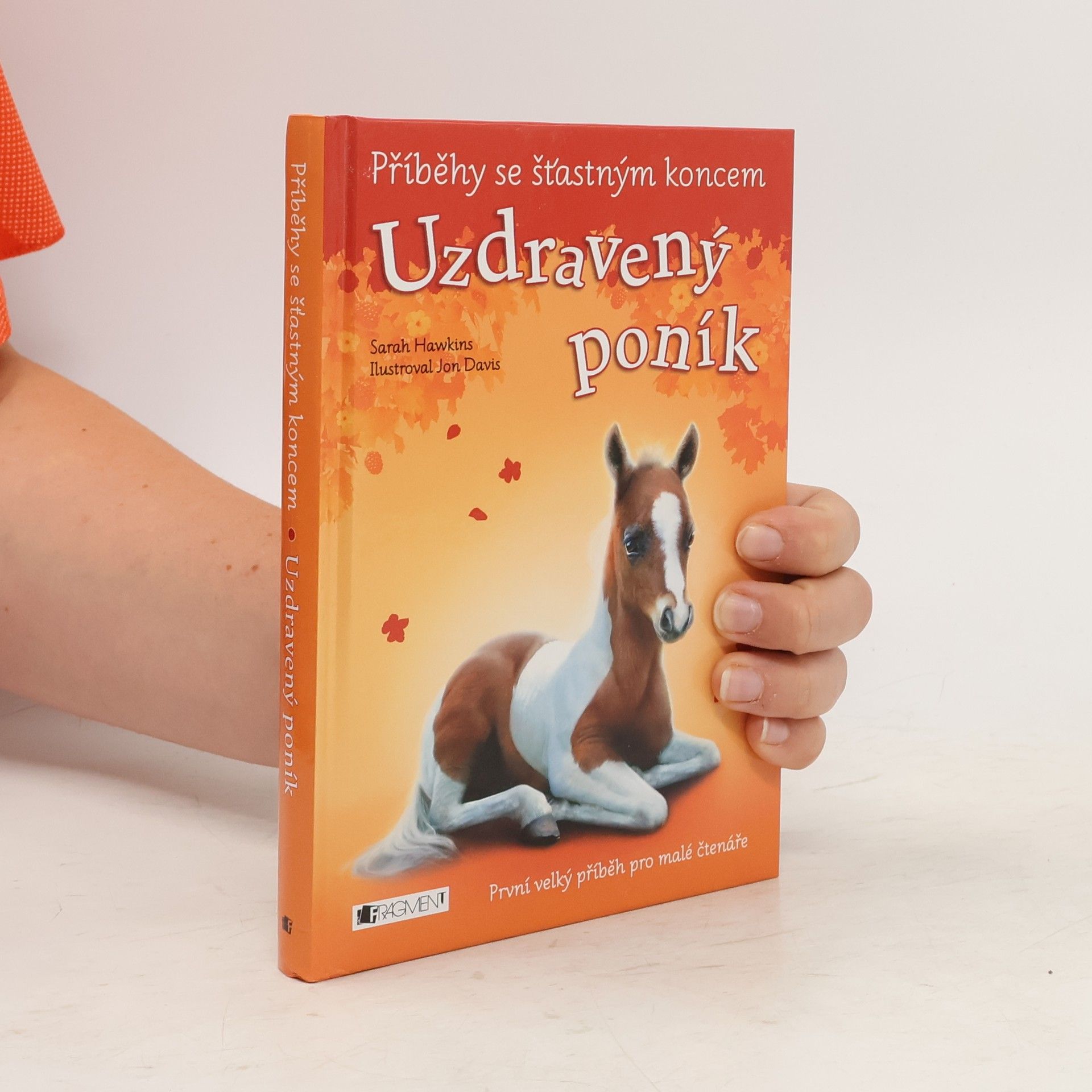 Eva Brožová Uzdravený poník