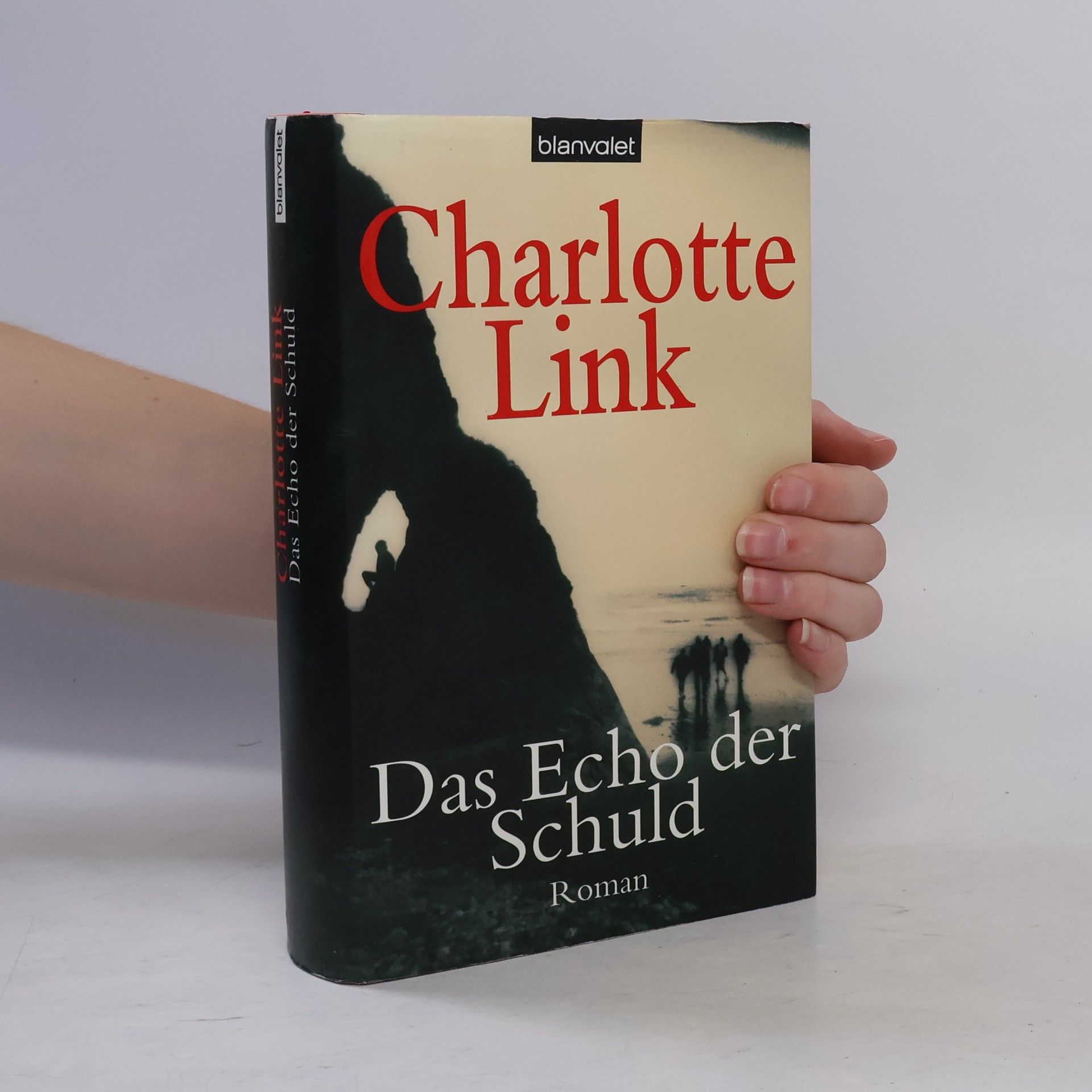 Charlotte Link Das Echo der Schuld