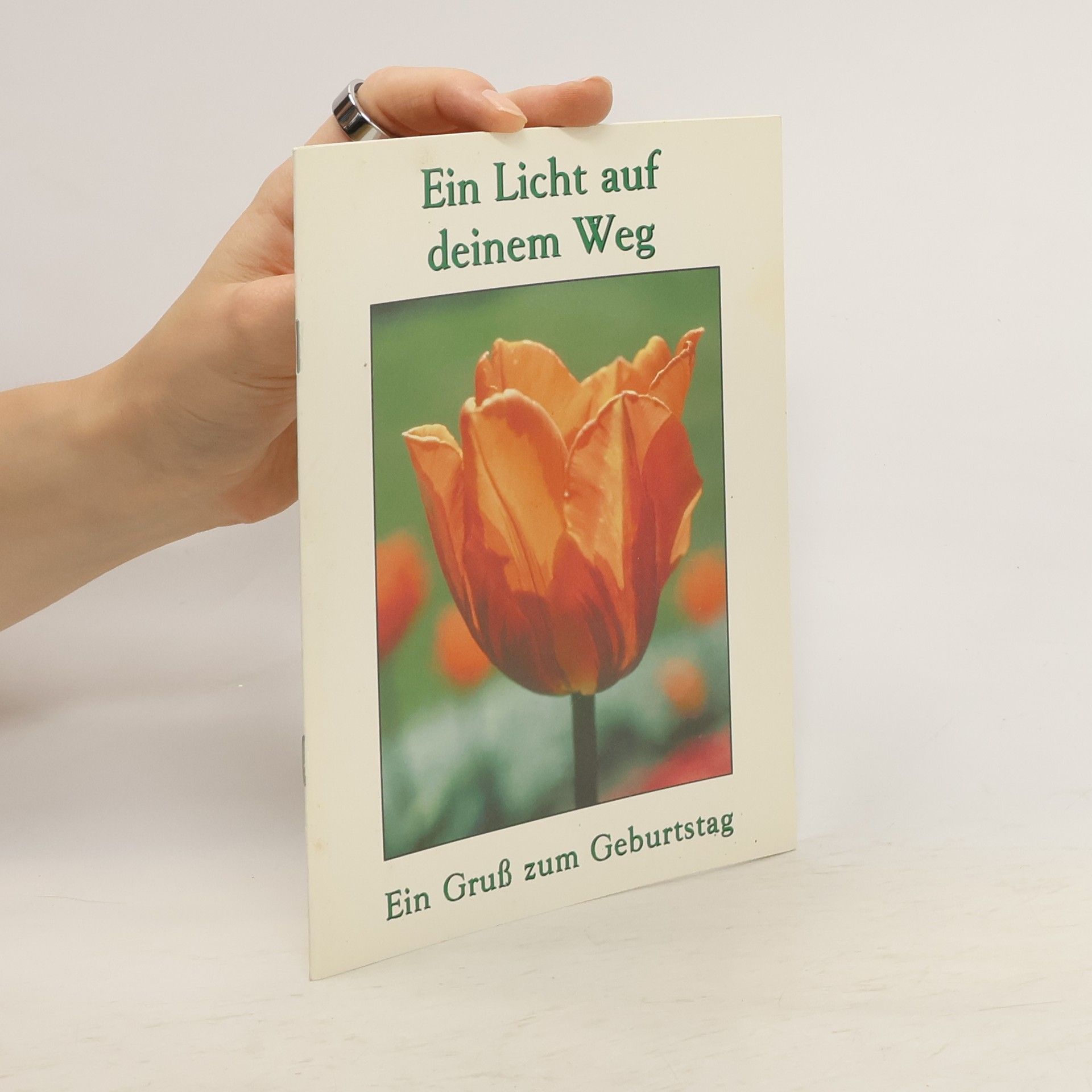 Autorenkollektiv Ein Licht auf deinem Weg